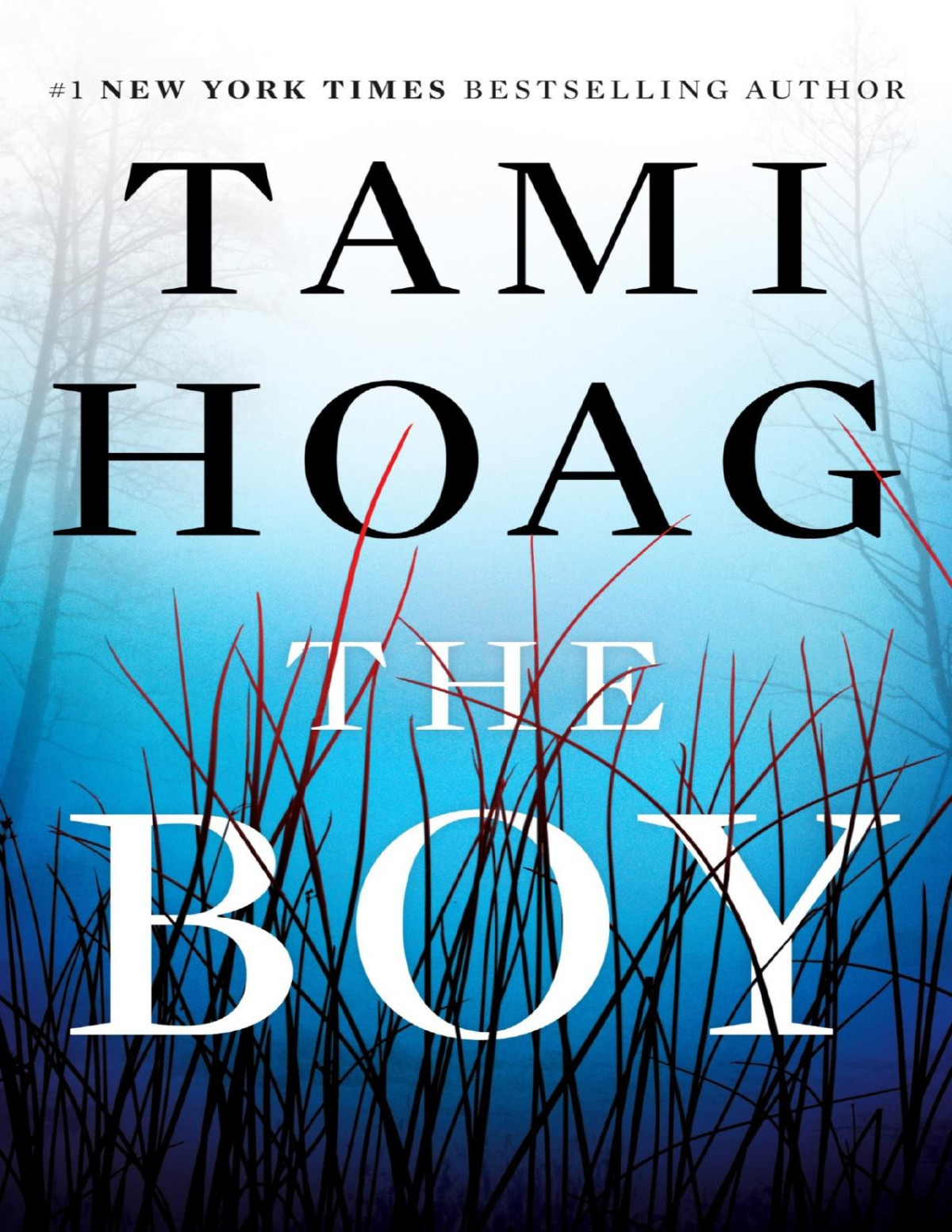 The Boy Tami Hoag Hoag Tami
