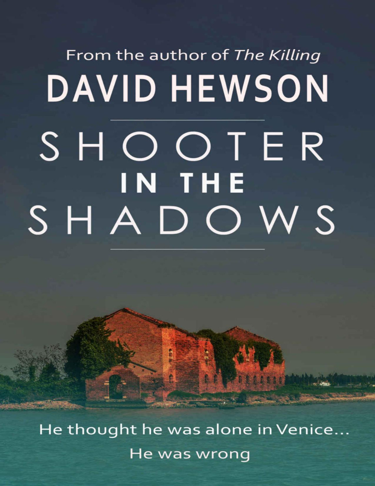 Shooter In The Shadows David Hewson Hewson David