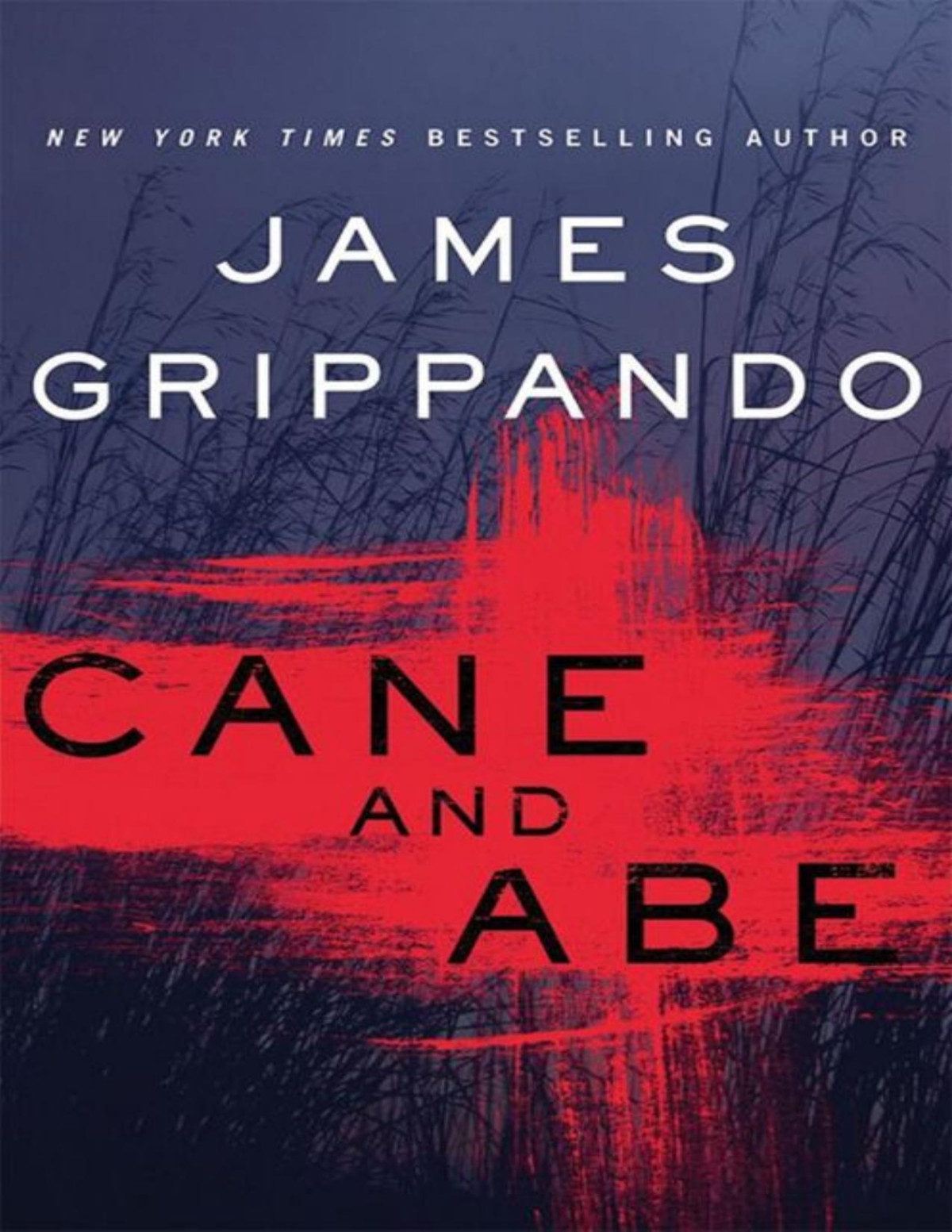 Cane And Abe James Grippando Grippando James
