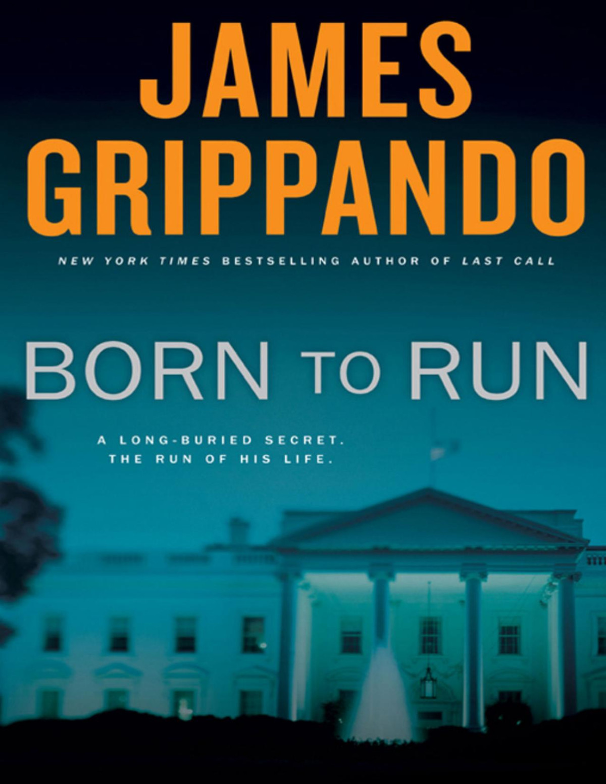 Born To Run James Grippando Grippando James