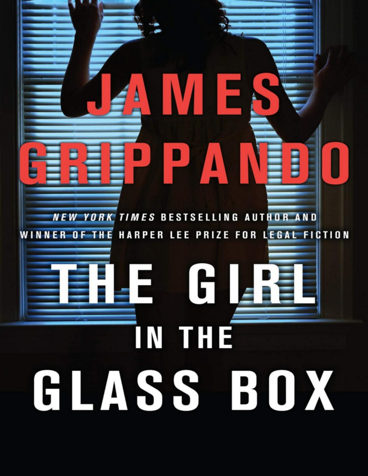 The Girl In The Glass Box A Jack Swyteck Novel James Grippando Grippando