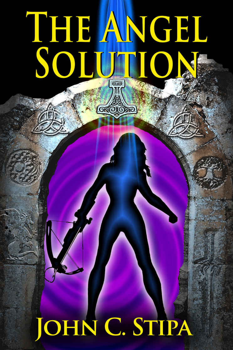 The Angel Solution John C Stipa Stipa John C