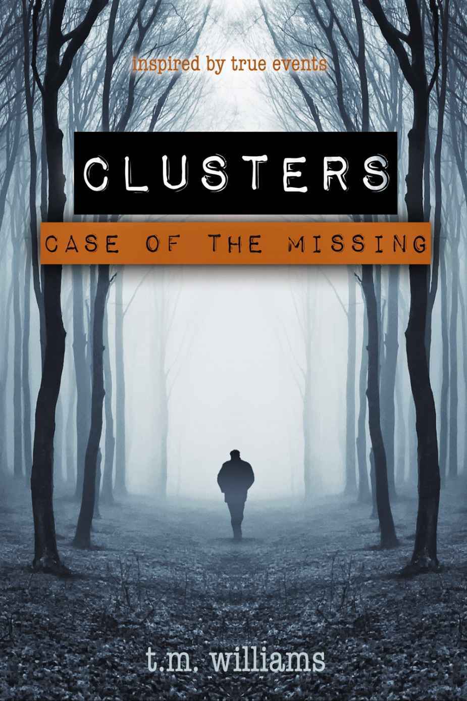 Clusters Case Of The Missing T M Williams