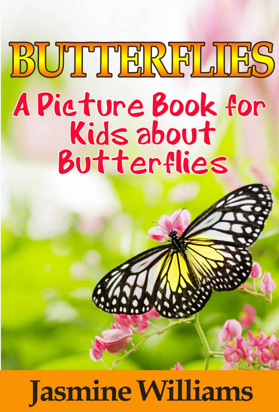 Childrens Book About Butterflies Jasmine Williams