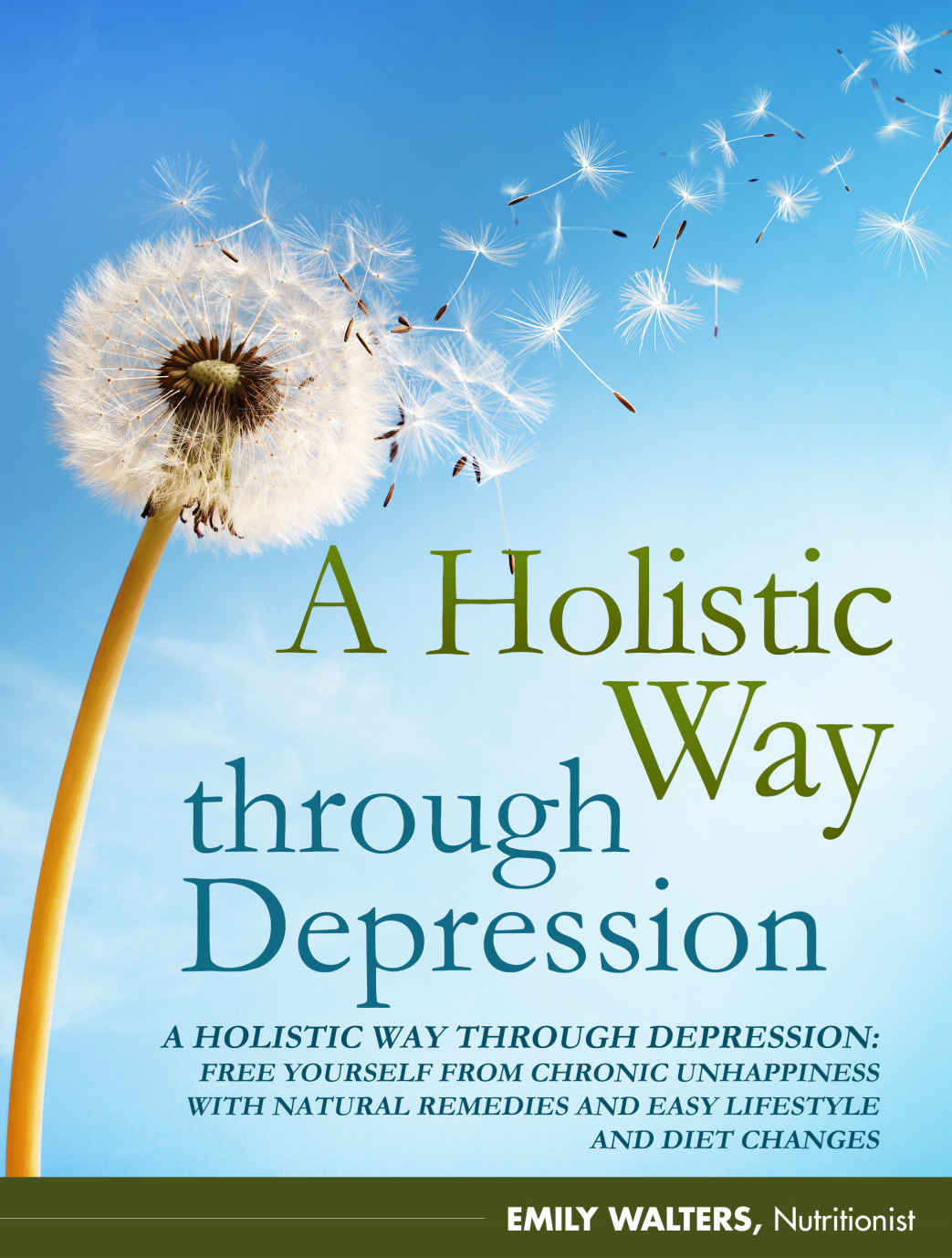 A Holistic Way Through Depression Emily Walters Walters Emily