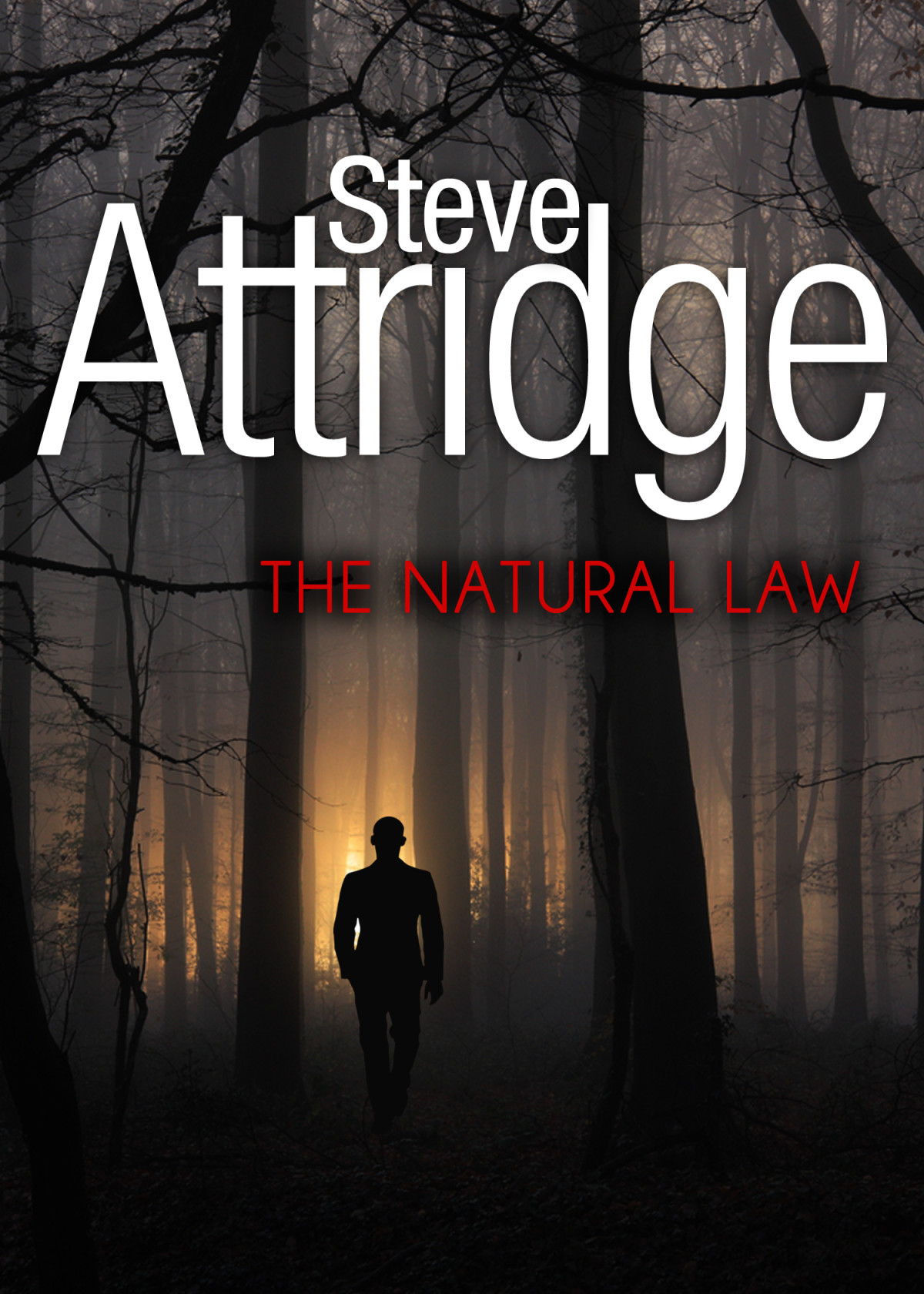 The Natural Law Steve Attridge
