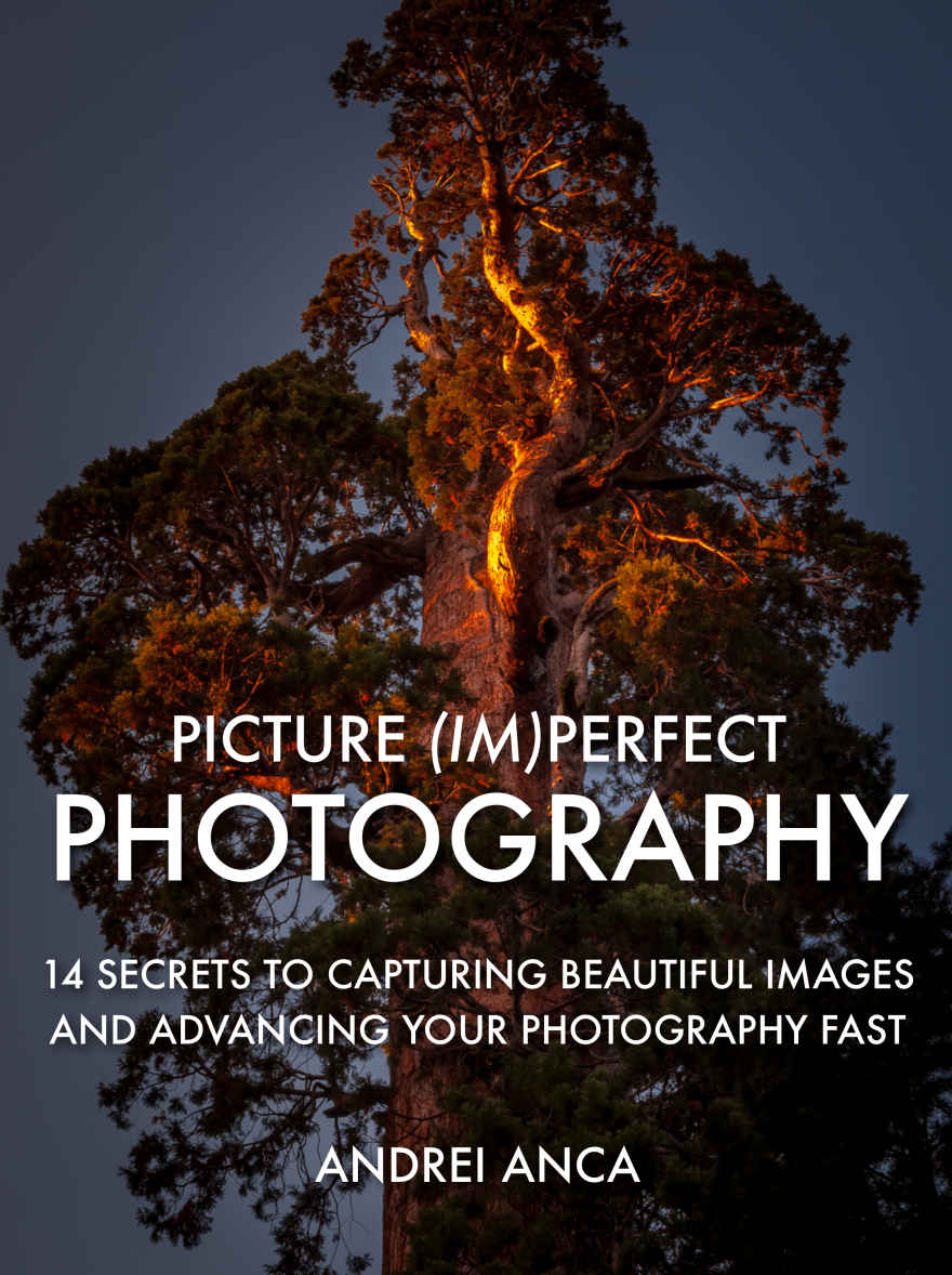 Picture Imperfect Photography Andrei Anca Anca Andrei