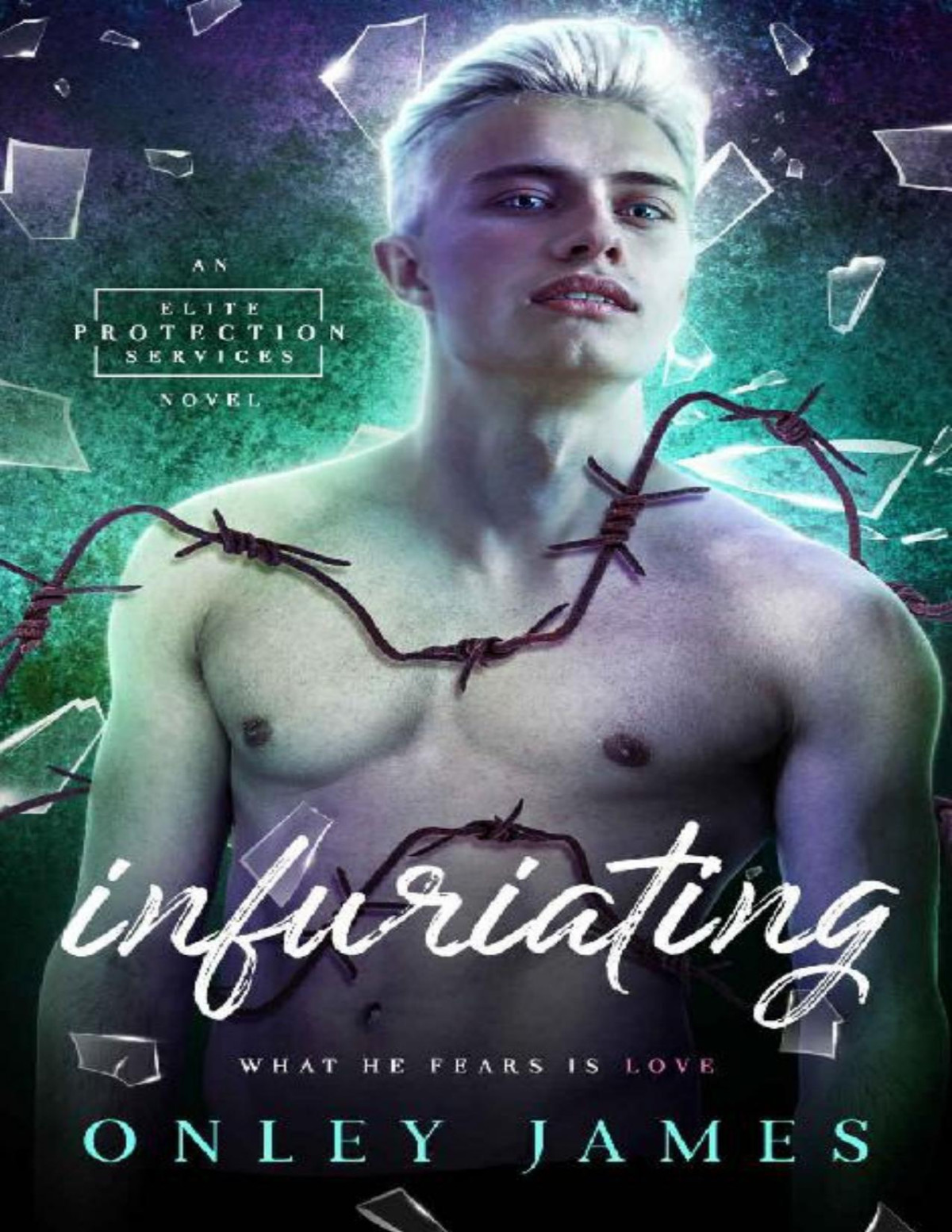 Infuriating Elite Protection Services Book 4 Onley James James
