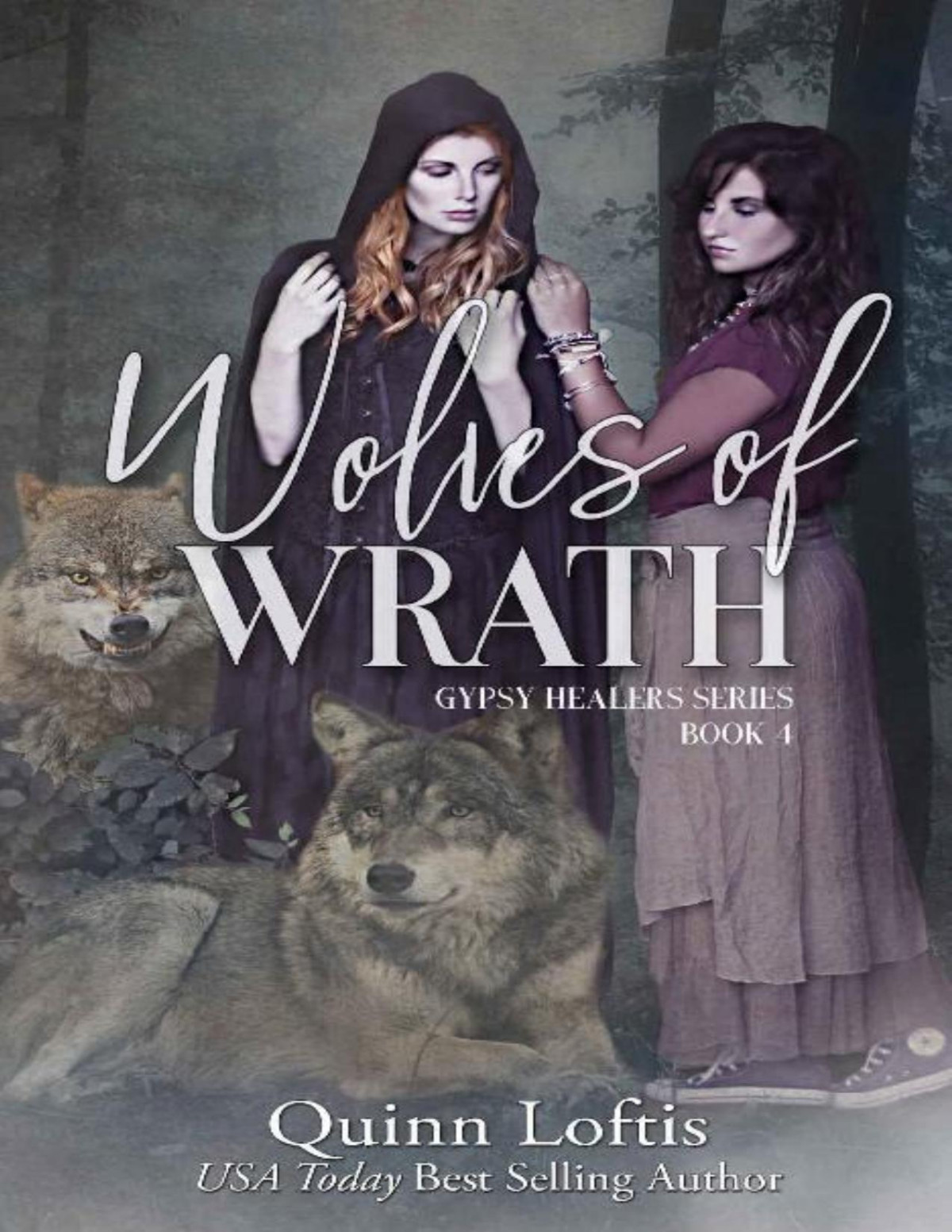 Wolves Of Wrath Book 4 The Gypsy Healer Series Quinn Loftis Loftis