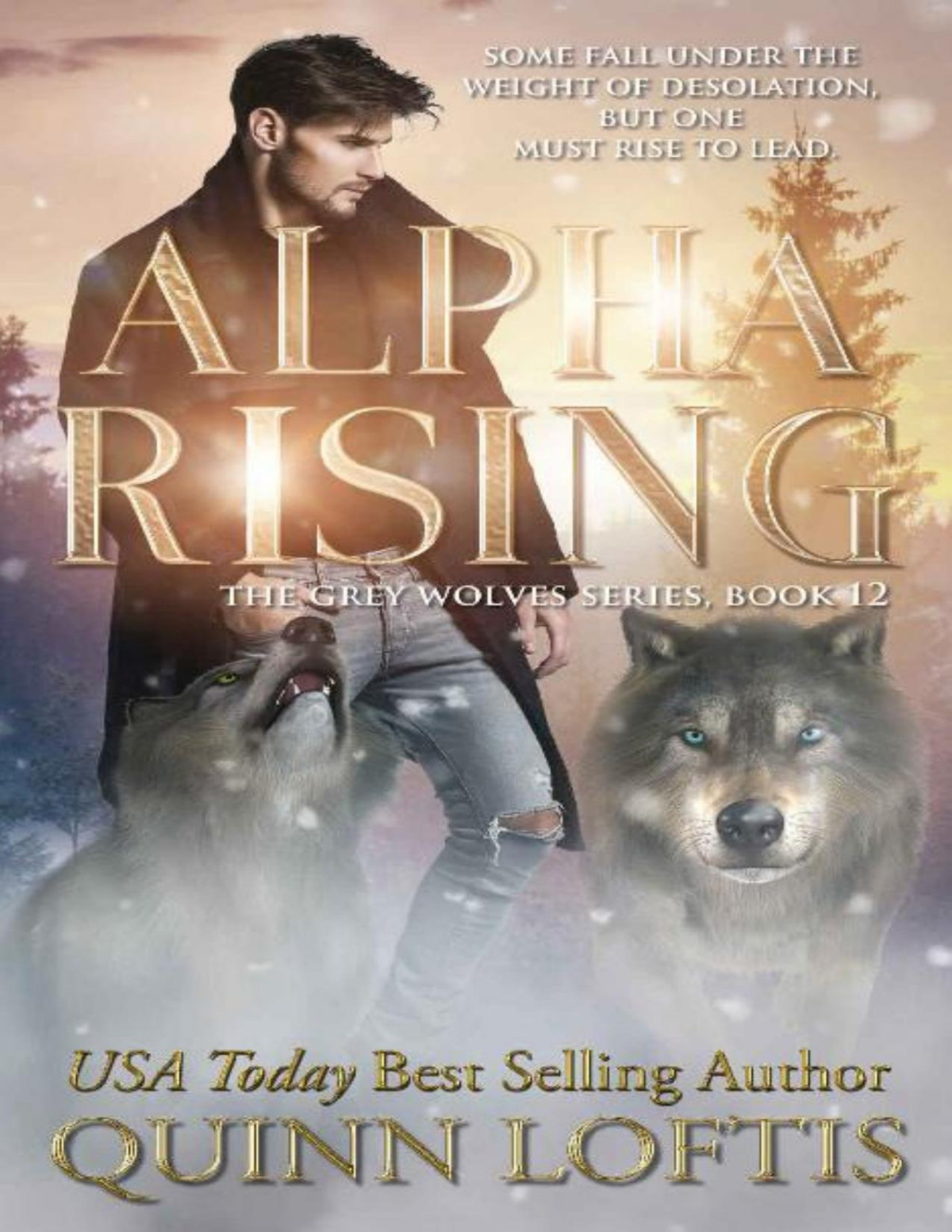 Alpha Rising Book 12 Of The Grey Wolves Series Quinn Loftis Loftis