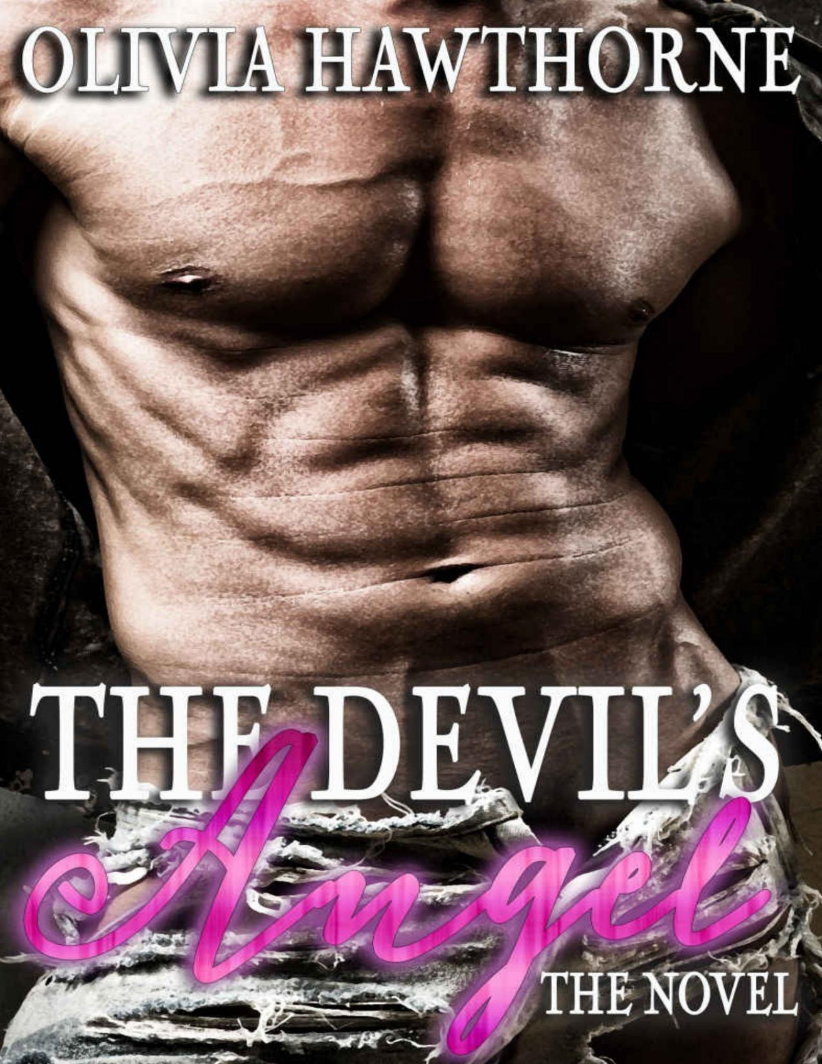 The Devils Angel The Novel Olivia Hawthorne Hawthorne Olivia
