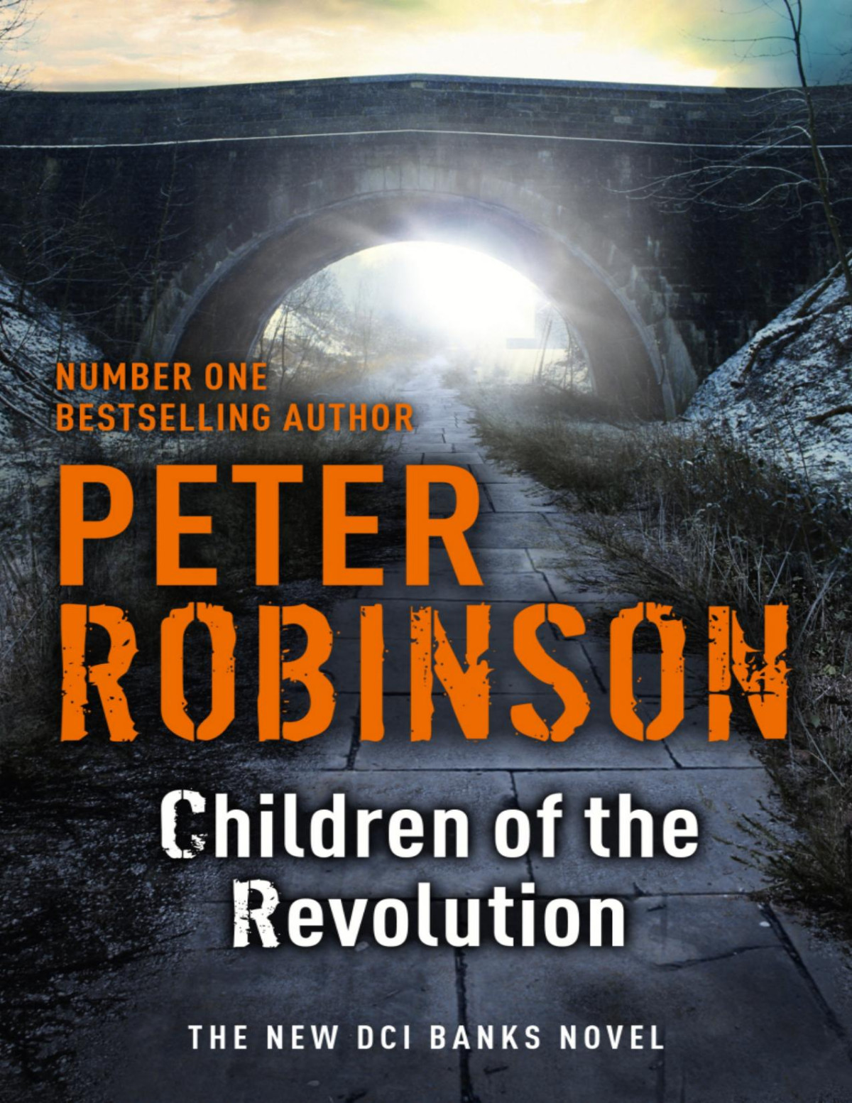 Dci Banks 21 Children Of The Revolution Peter Robinson