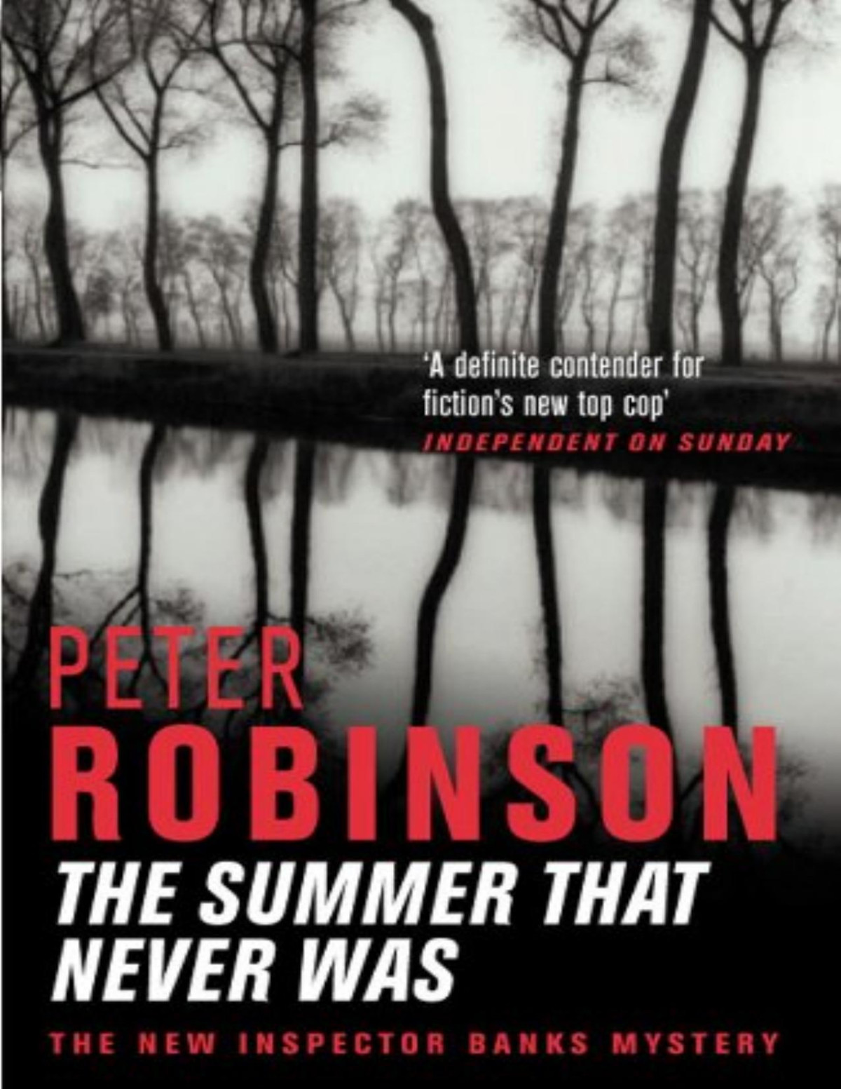 Dci Banks 13 The Summer That Never Was Aka Close To Home Peter Robinson