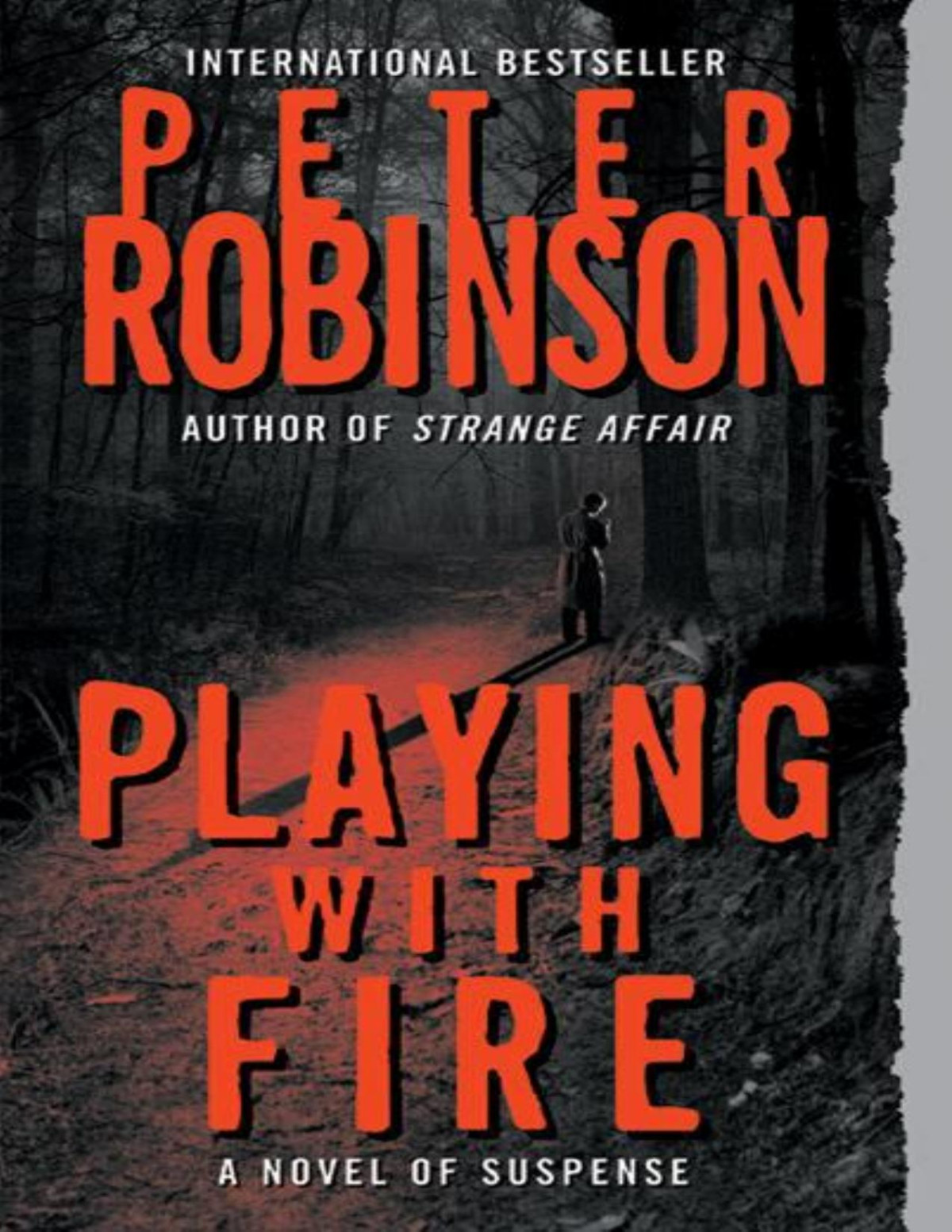 Dci Banks 14 Playing With Fire Peter Robinson