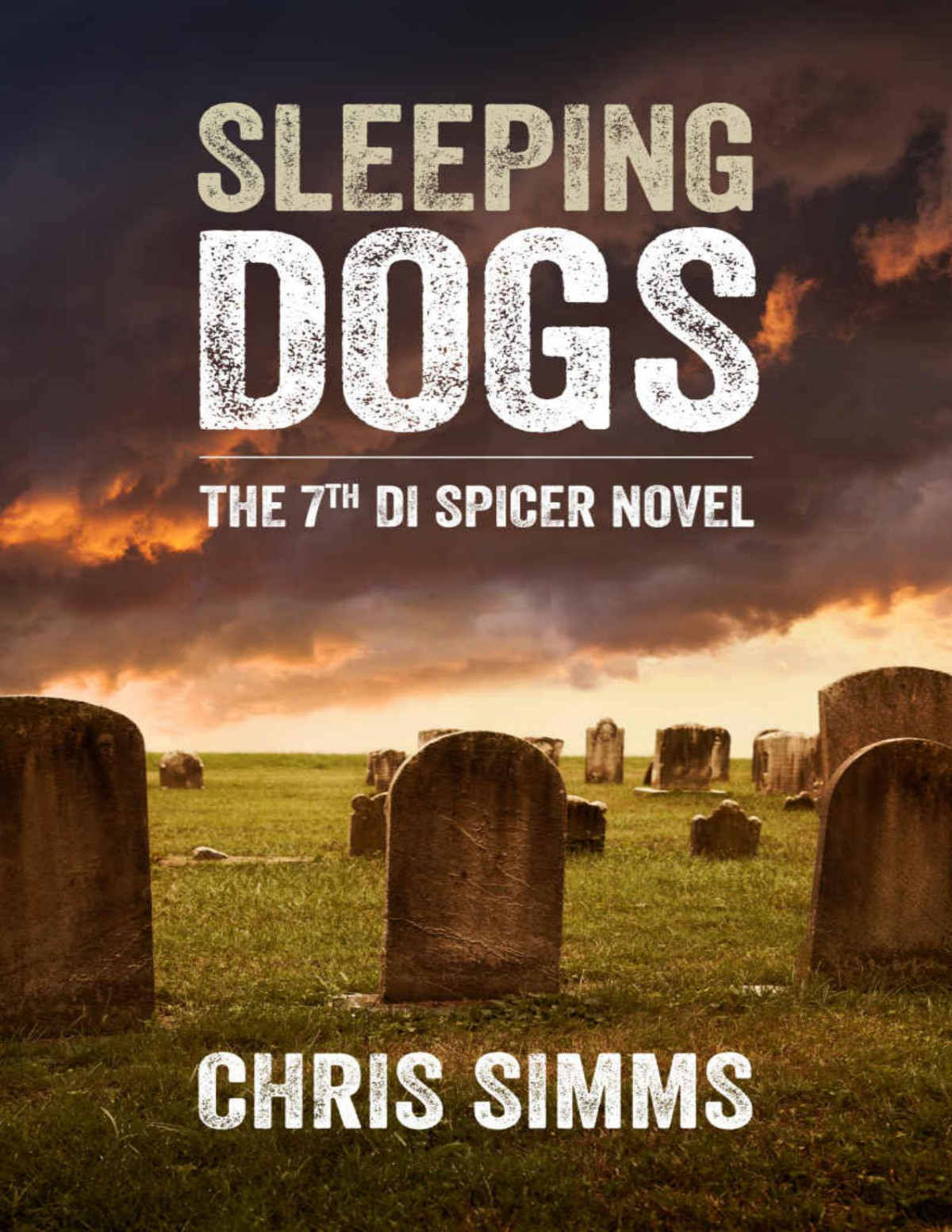 Sleeping Dogs Chris Simms Simms Chris