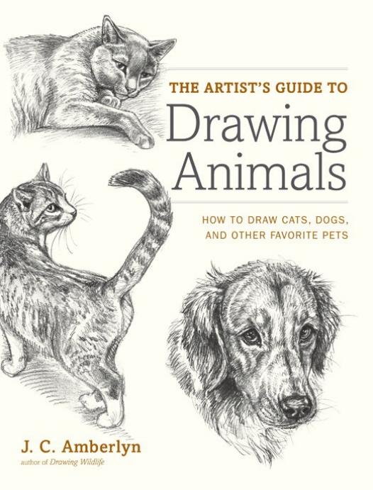 The Artists Guide To Drawing Animals Jc Amberlyn Amberlyn