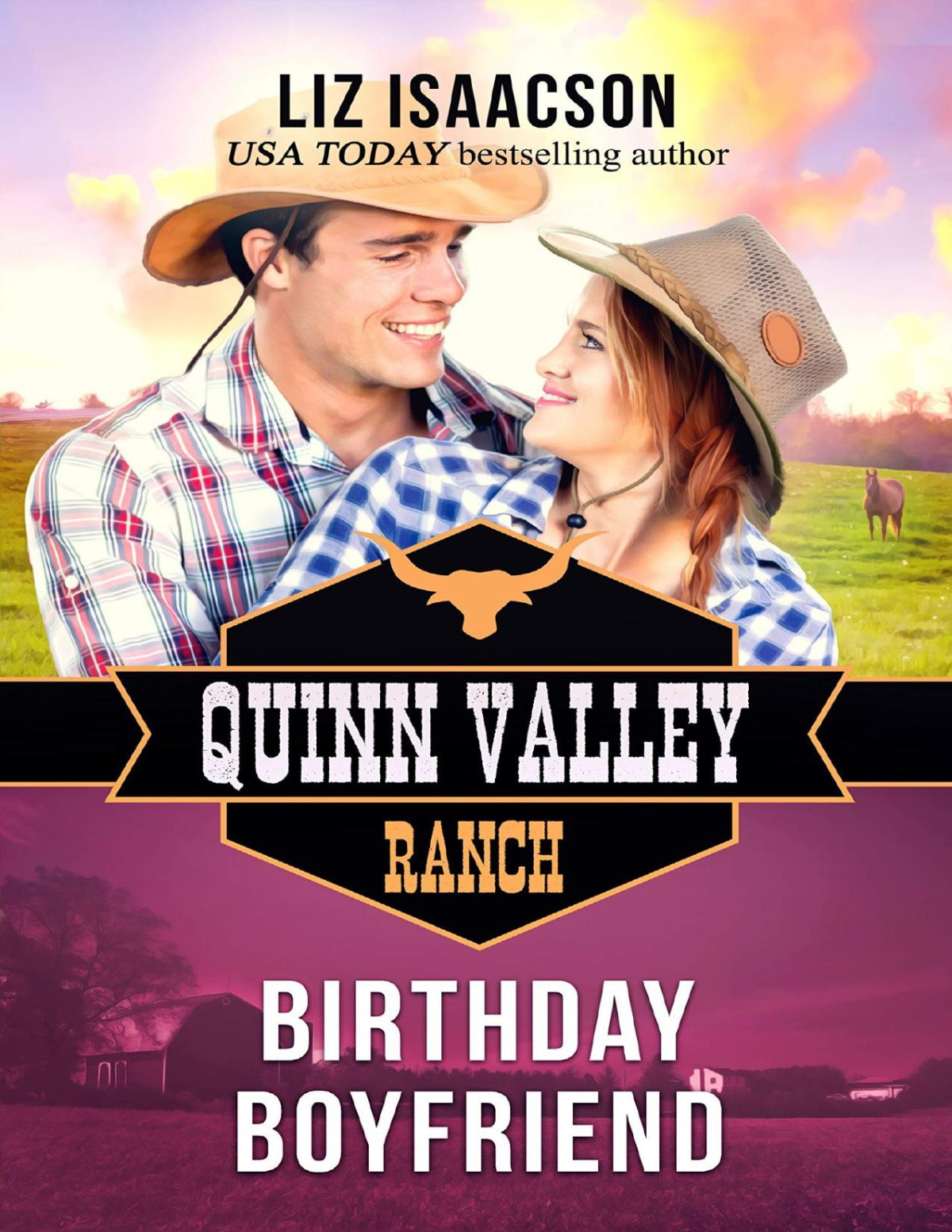 Birthday Boyfriend Quinn Valley Ranch Book 21 Liz Isaacson Isaacson
