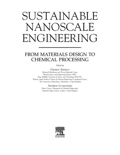 Sustainable Nanoscale Engineering From Materials Design To Chemical Processing Gyorgy Szekely Editor