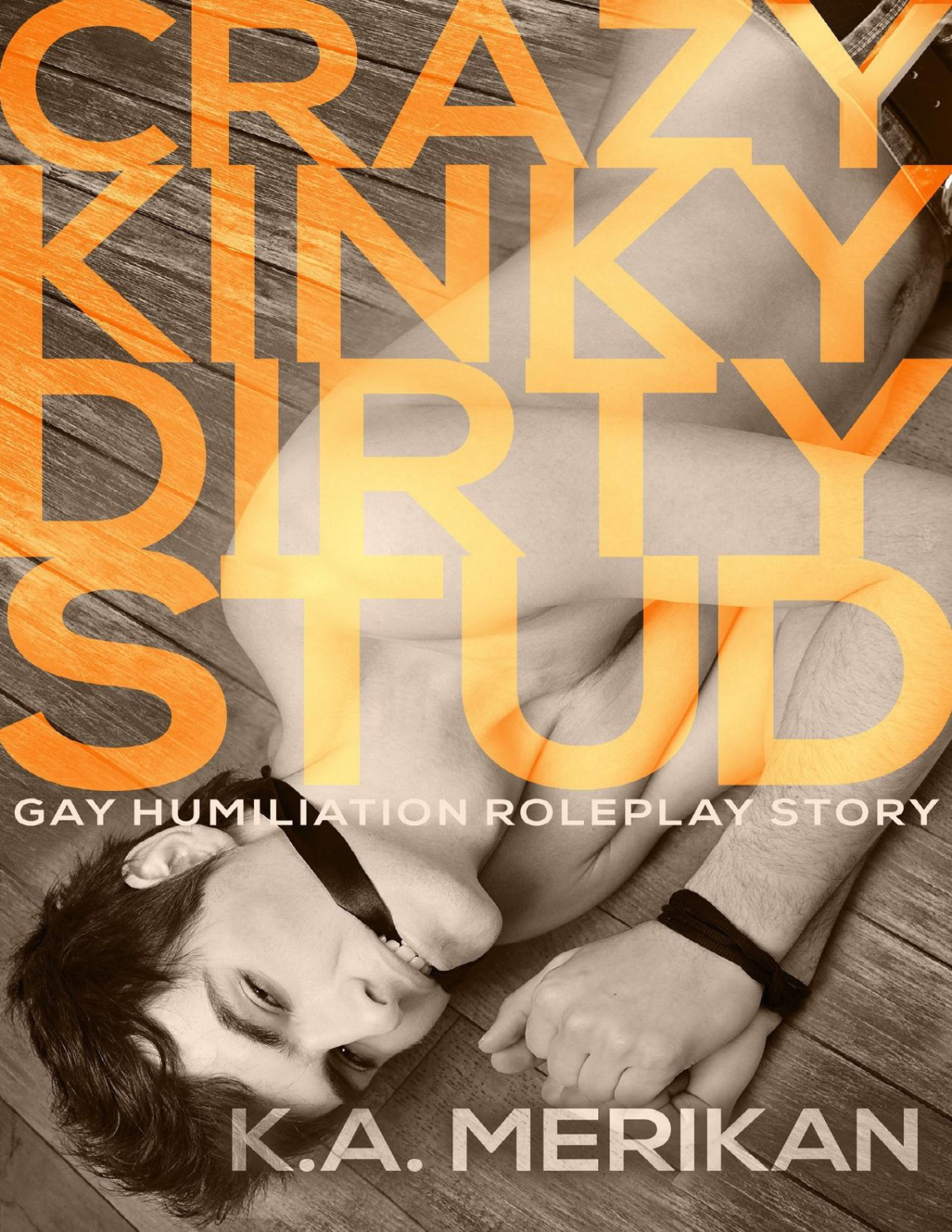 Crazy Kinky Dirty Stud Gay Humiliation Roleplay Erotic Romance Crazy Kinky Dirty Love Book 2 Merikan