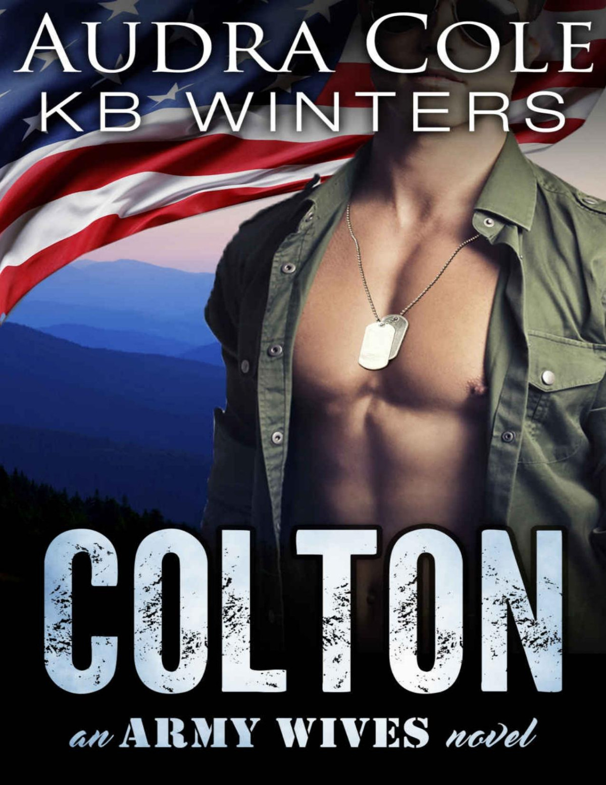 Colton An Army Wives Novel Audra Cole Kb Winters Cole Audra
