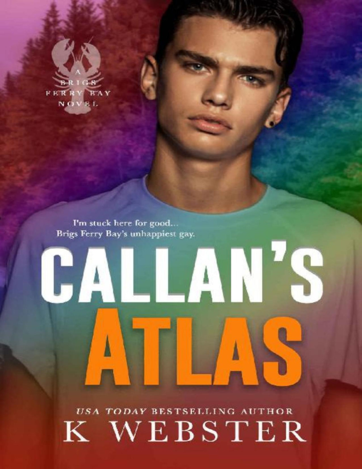 Callans Atlas Brigs Ferry Bay Book 3 K Webster Webster K