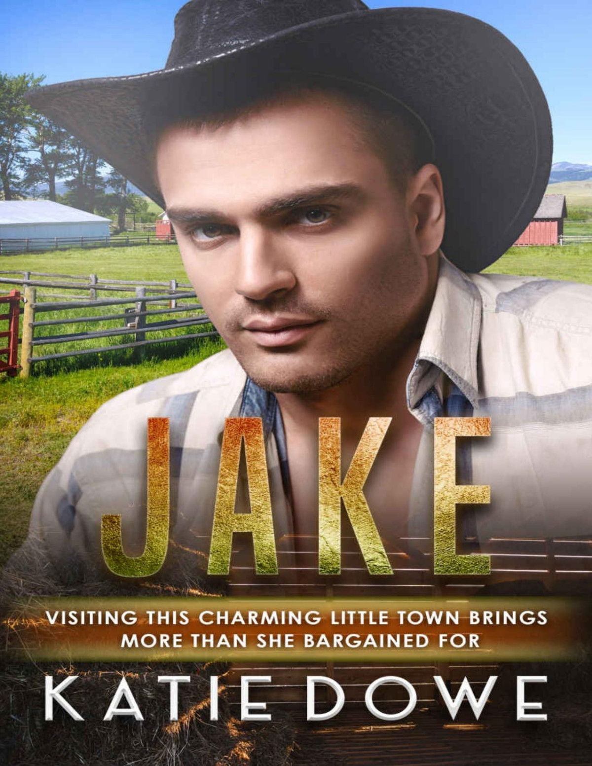 Jake Bwwm Pregnancy Cowboy Romance Members From Money Season Two Book 1 Katie Dowe Bwwm Club Dowe
