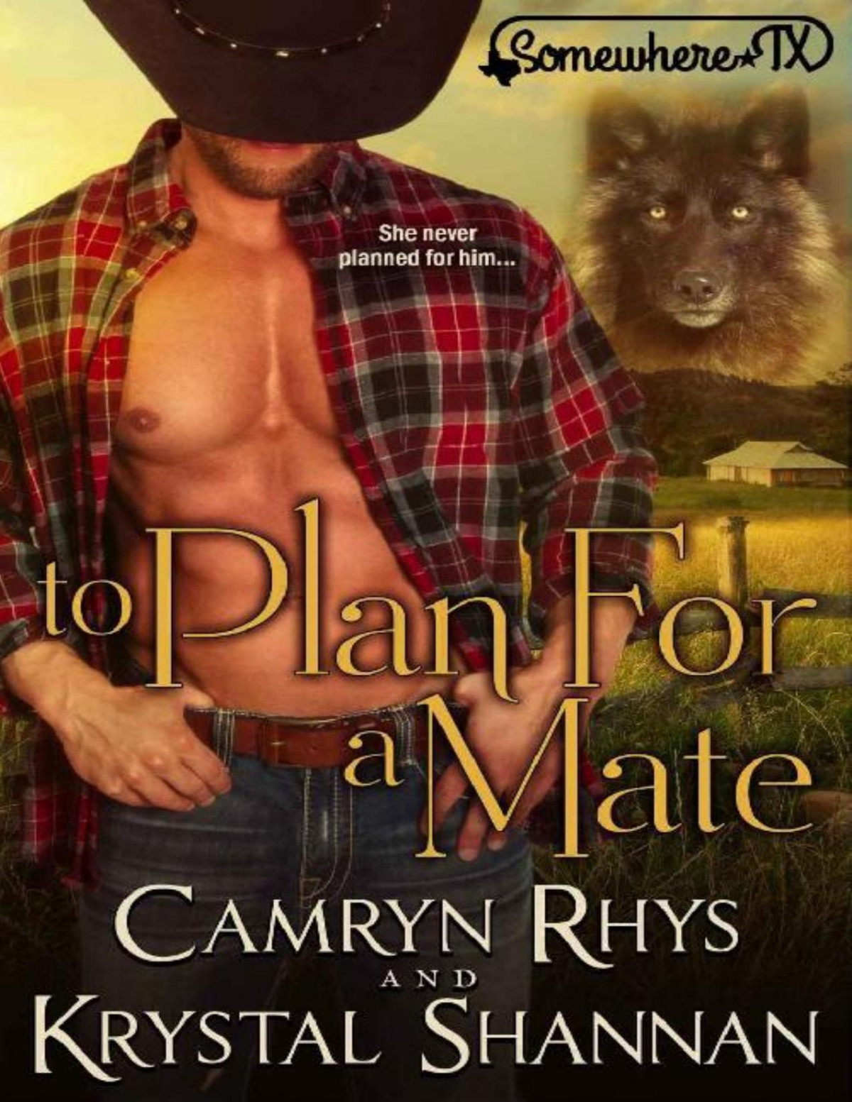 To Plan For A Mate Somewhere Tx Vonbrandt Wolf Pack Book 6 Krystal Shannan Shannan