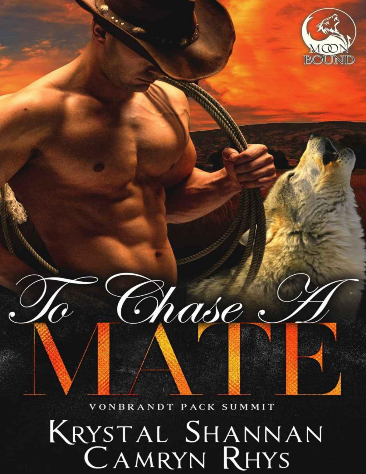 To Chase A Mate Somewhere Tx Saga Vonbrandt Wolf Pack Book 6 Camryn Rhys Krystal Shannan Rhys
