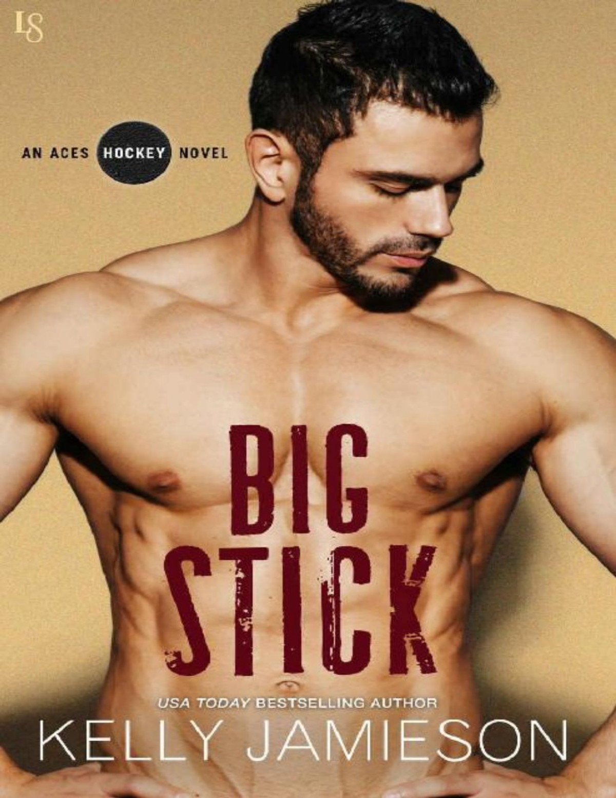 Big Stick An Aces Hockey Novel Kelly Jamieson Jamieson Kelly
