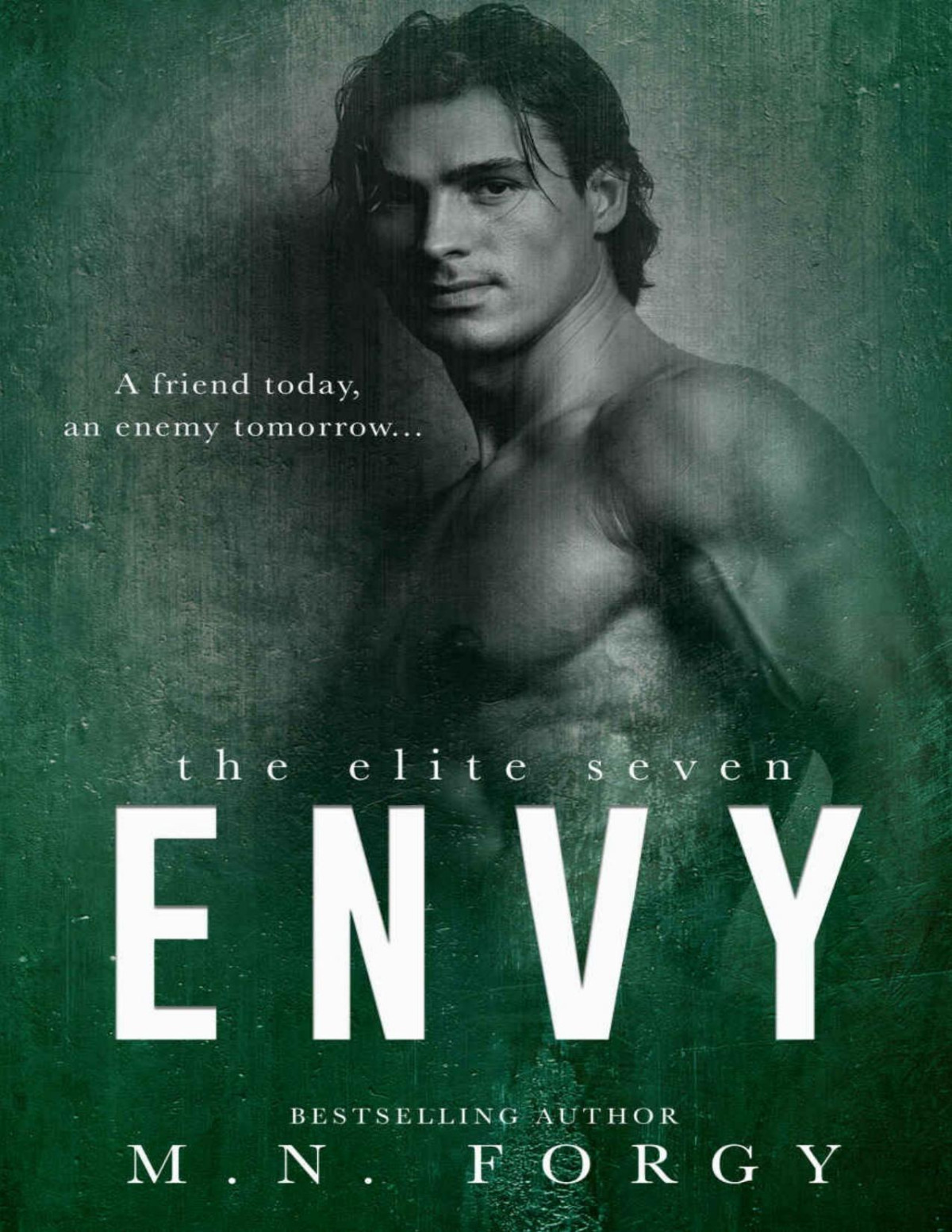 Envy The Elite Seven Book 4 Mn Forgy Forgy Mn