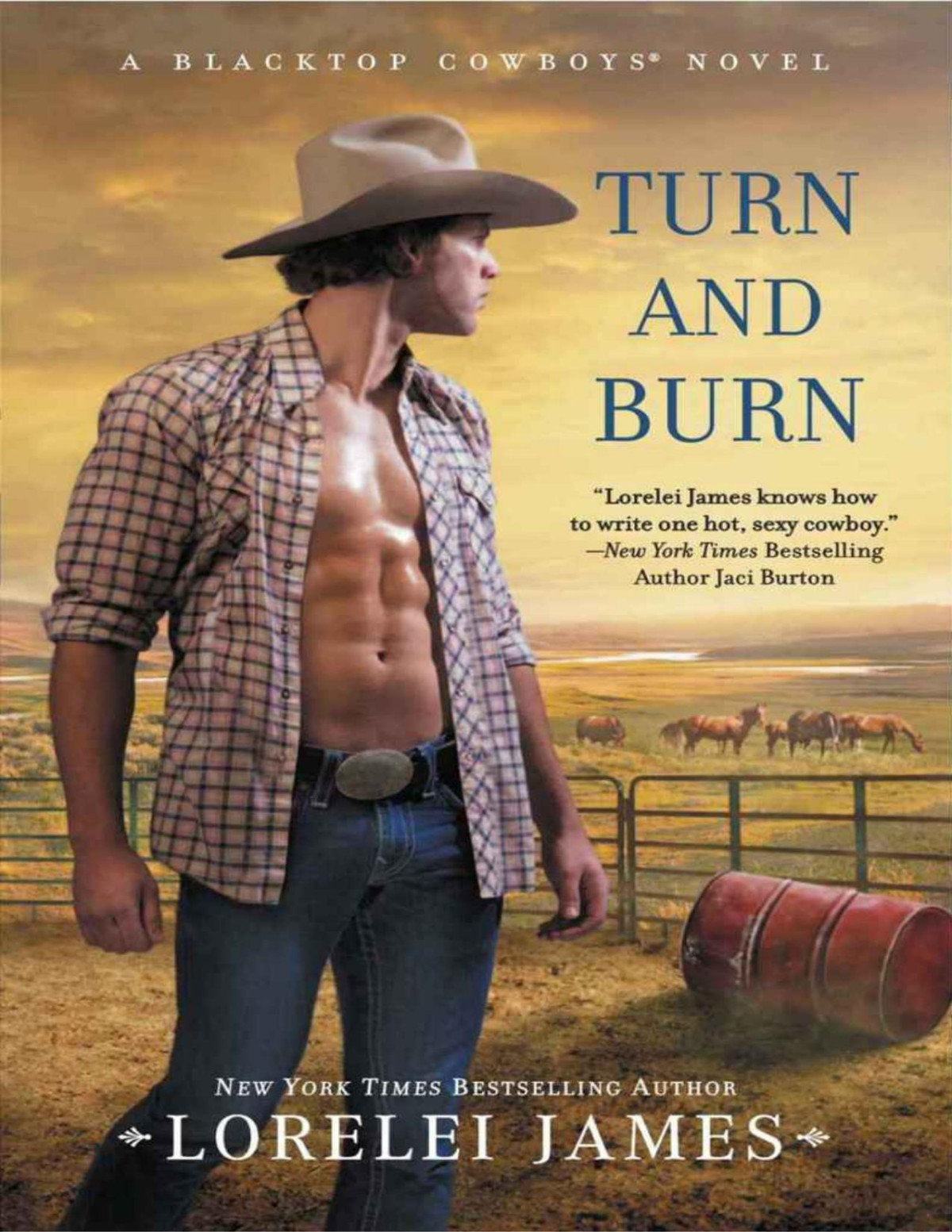 Turn And Burn Lorelei James James Lorelei