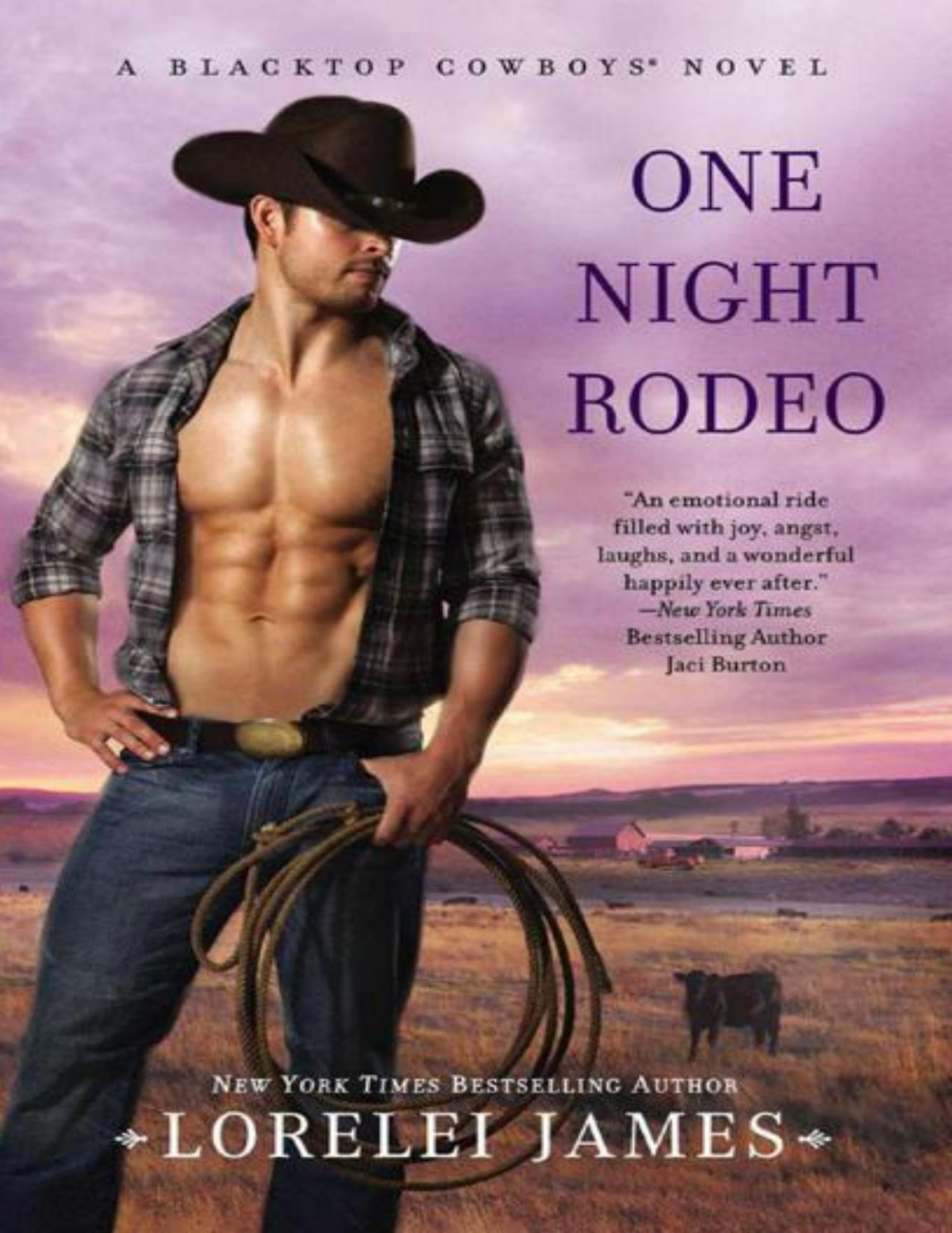 One Night Rodeo Lorelei James James Lorelei