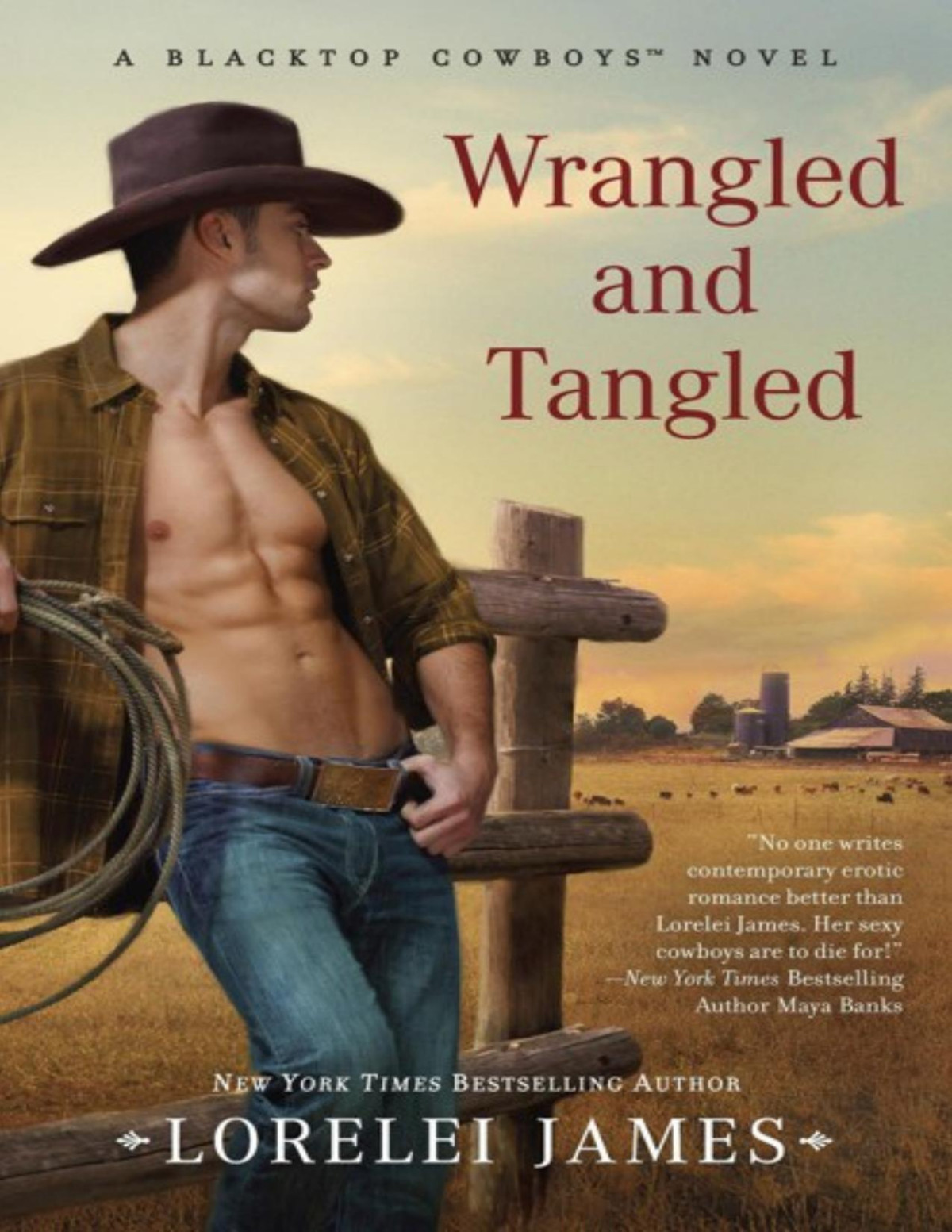 Wrangled And Tangled Lorelei James James Lorelei
