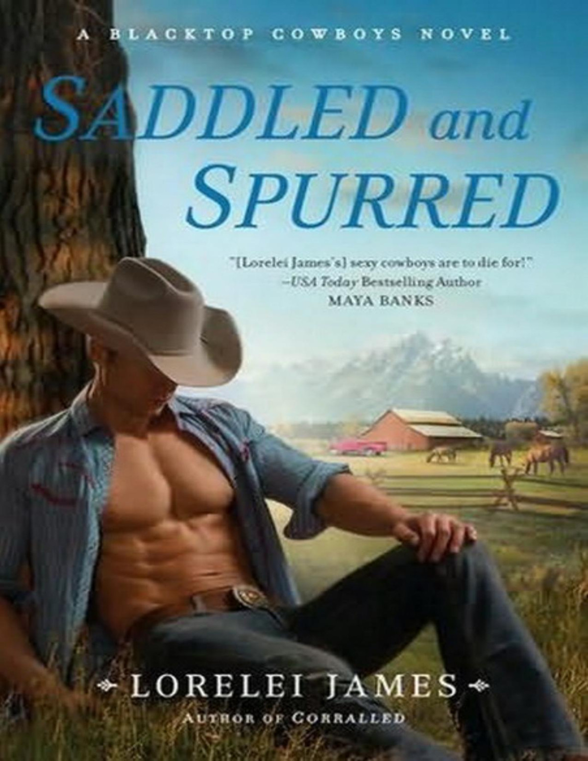 Saddled And Spurred James Lorelei James Lorelei