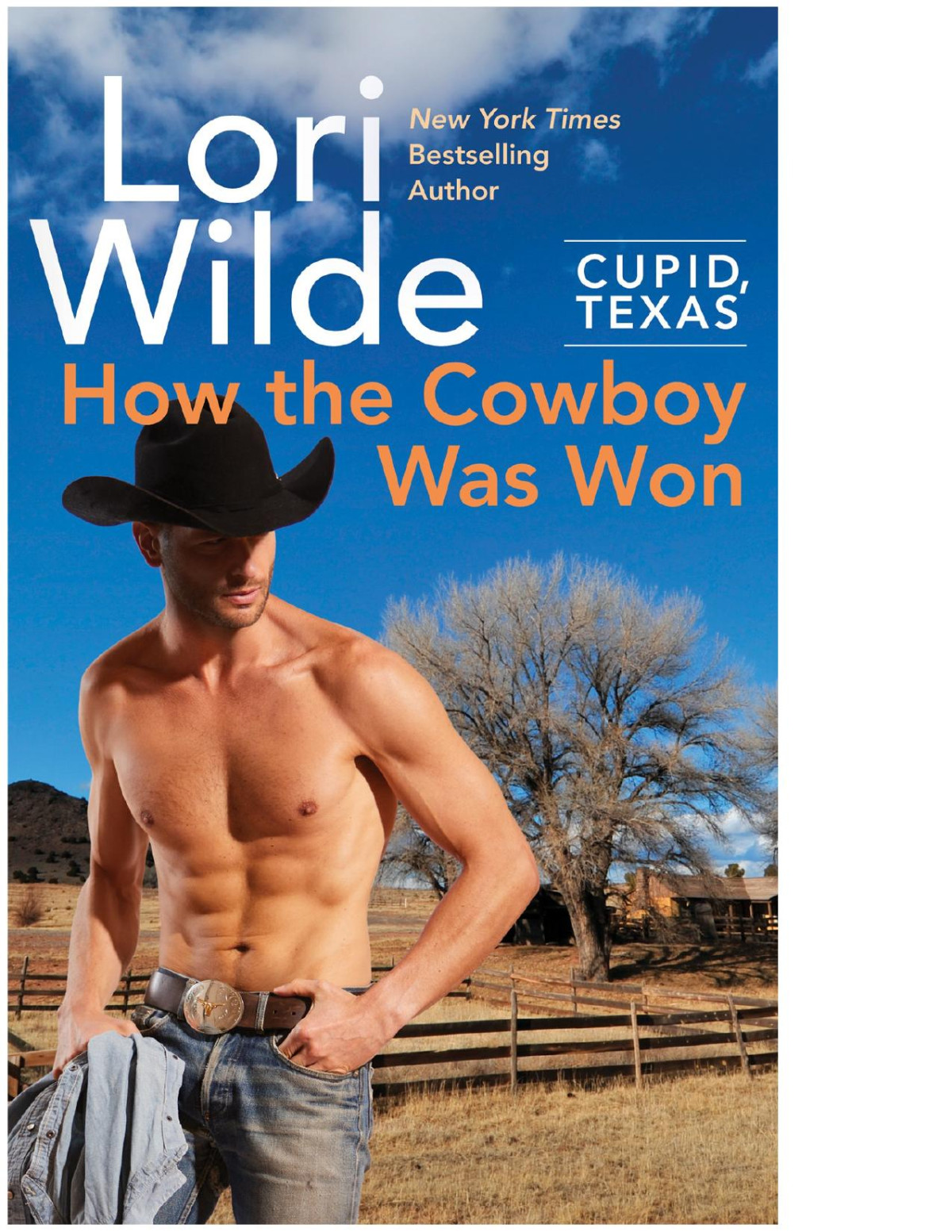 How The Cowboy Was Won Lori Wilde