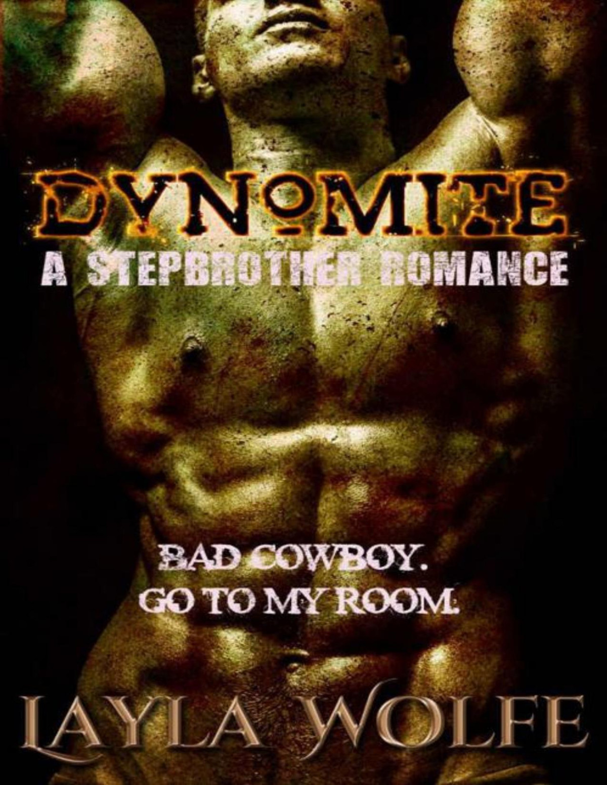 Dynomite A Stepbrother Cowboy Romance Wolfe Layla Wolfe Layla