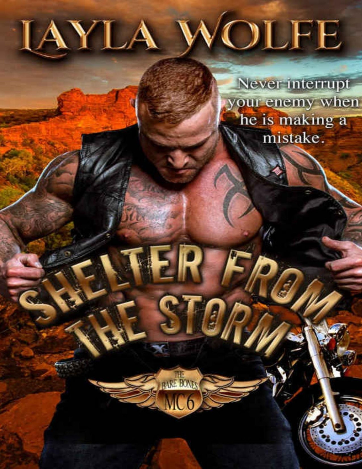 Shelter From The Storm The Bare Bones Mc Book 6 Layla Wolfe Wolfe