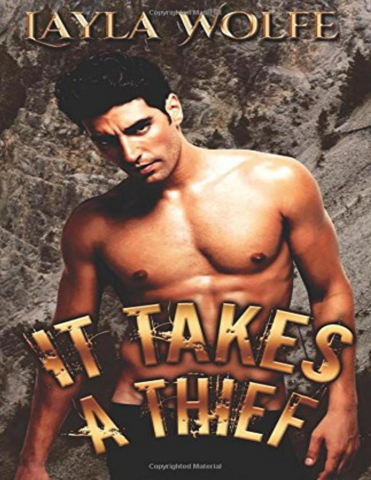 It Takes A Thief The Bare Bones Mc 7 Layla Wolfe Wolfe Layla