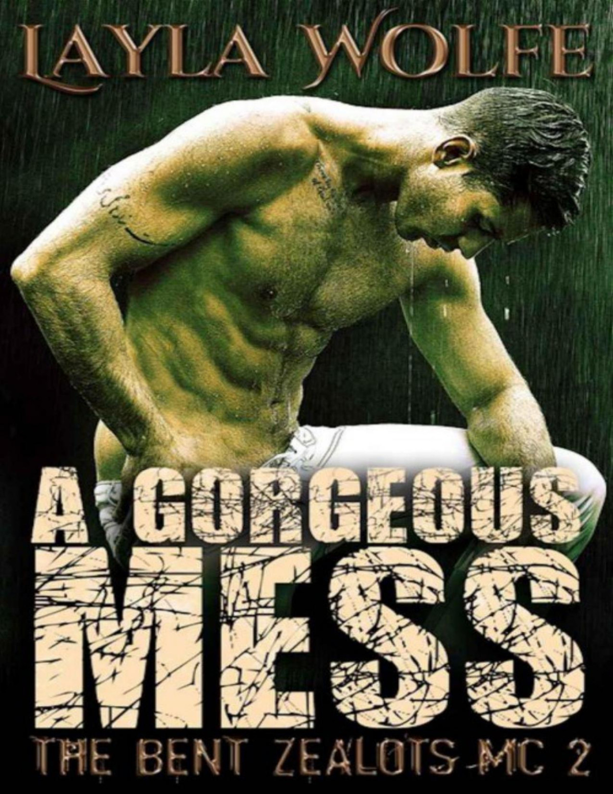 A Gorgeous Mess Layla Wolfe Wolfe Layla