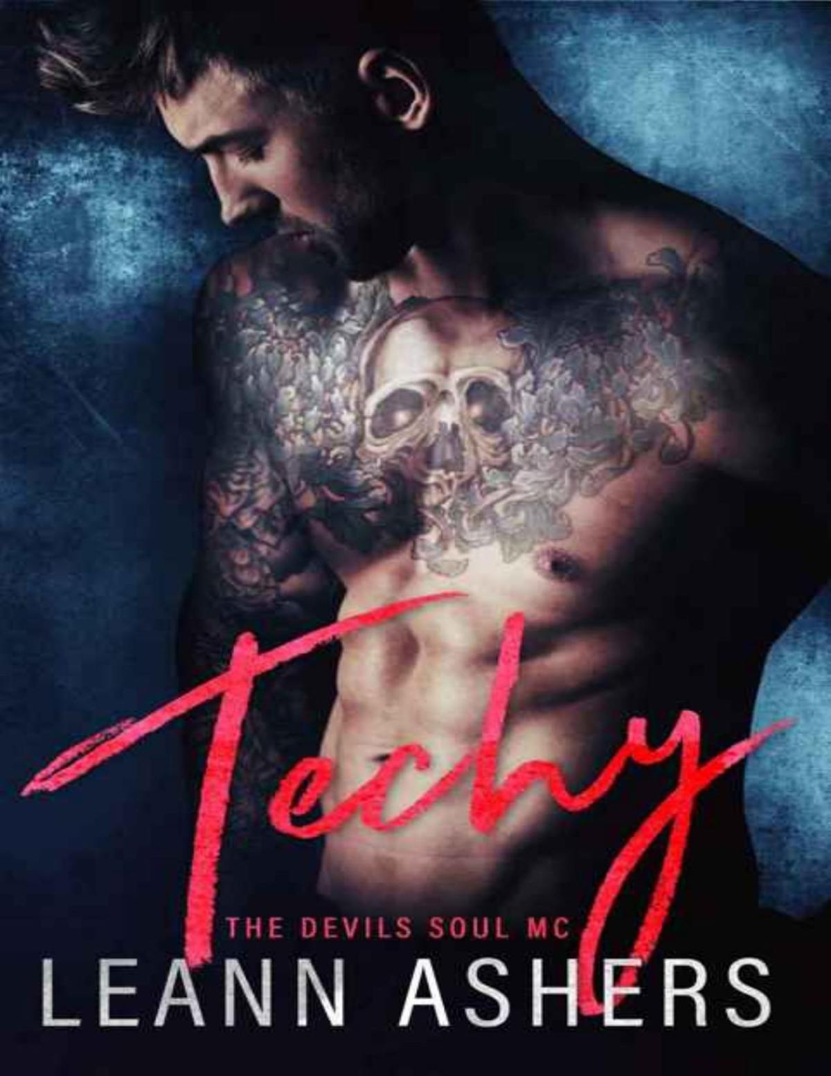 Techy Devil Souls Mc Book 2 Leann Ashers Ashers Leann