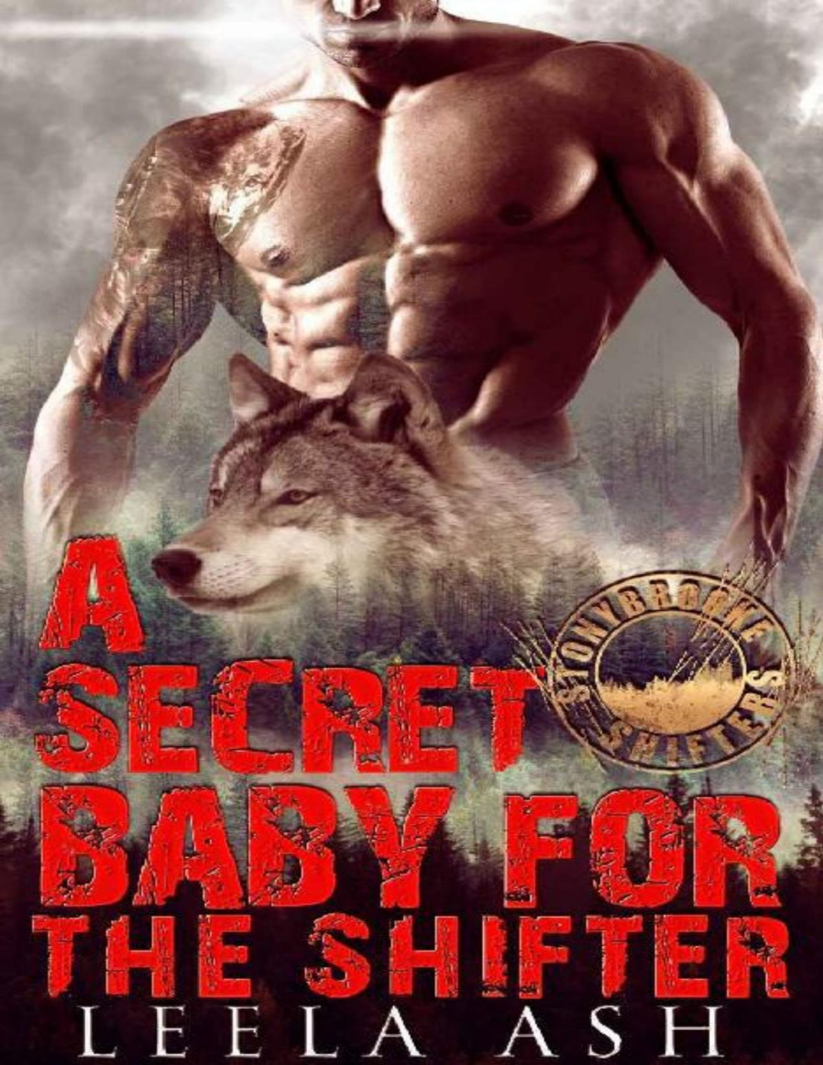 A Secret Baby For The Shifter Stonybrooke Shifters Leela Ash Ash