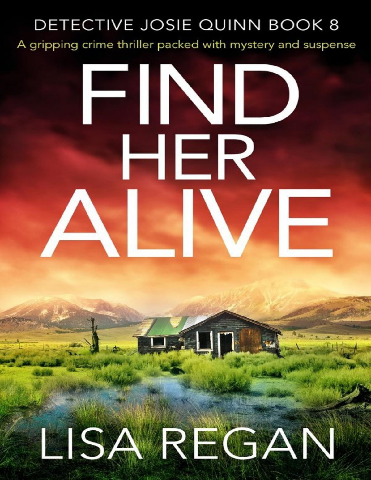 Find Her Alive Regan Lisa Regan Lisa