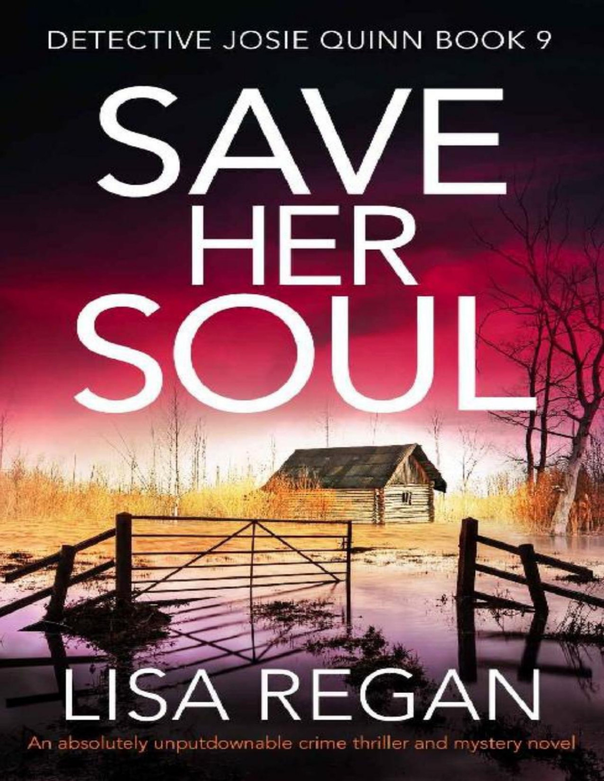 Save Her Soul An Absolutely Unputdownable Crime Thriller And Mystery Novel Detective Josie Quinn Book 9 Lisa Regan Regan