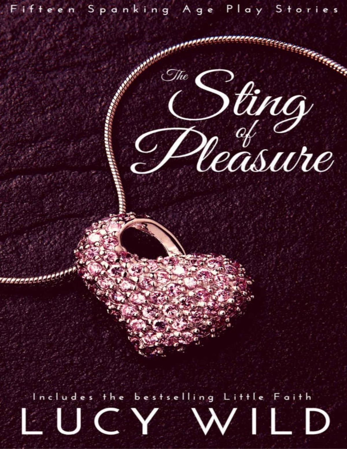 The Sting Of Pleasure Fifteen Spanking Stories Lucy Wild