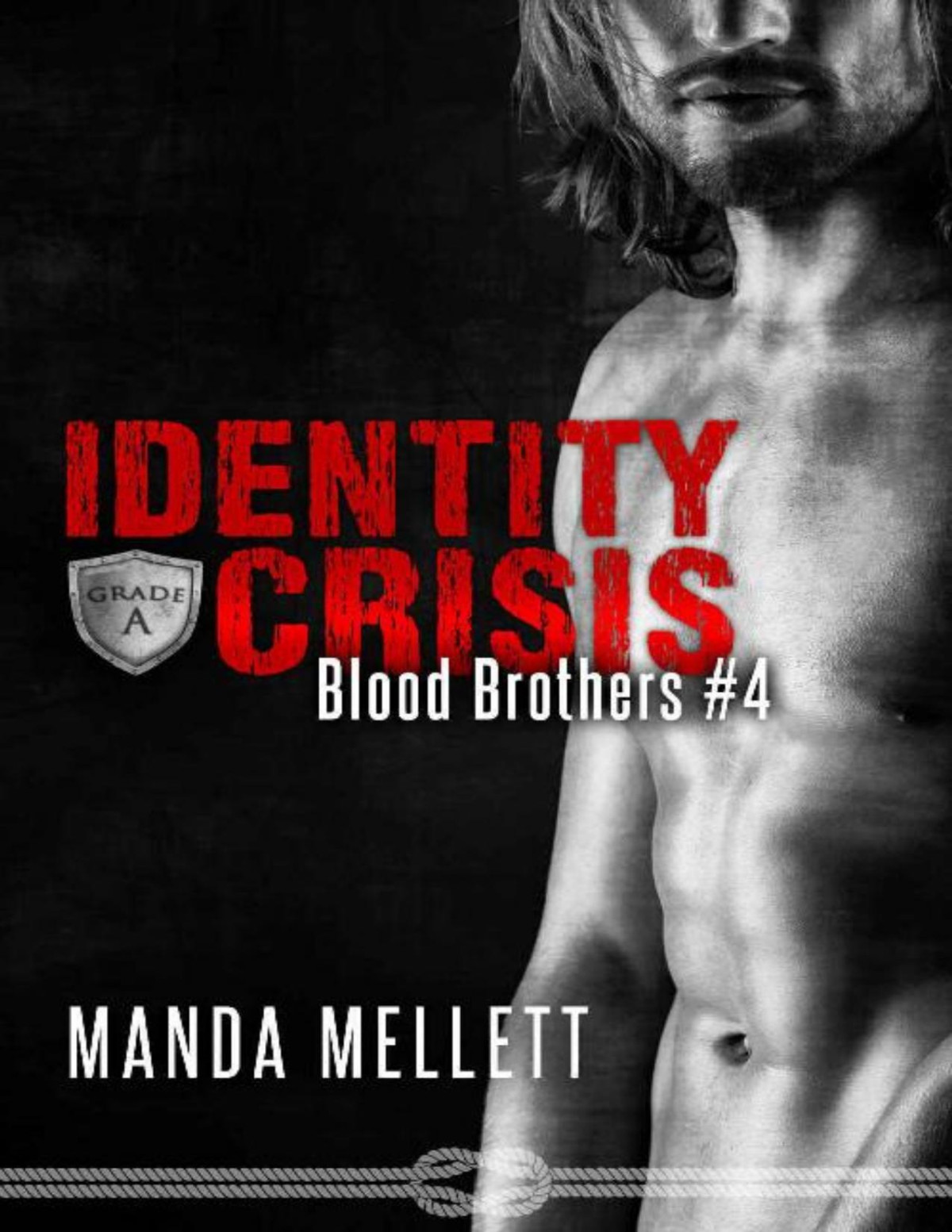 Identity Crisis Blood Brothers 4 Manda Mellett Mellett Manda