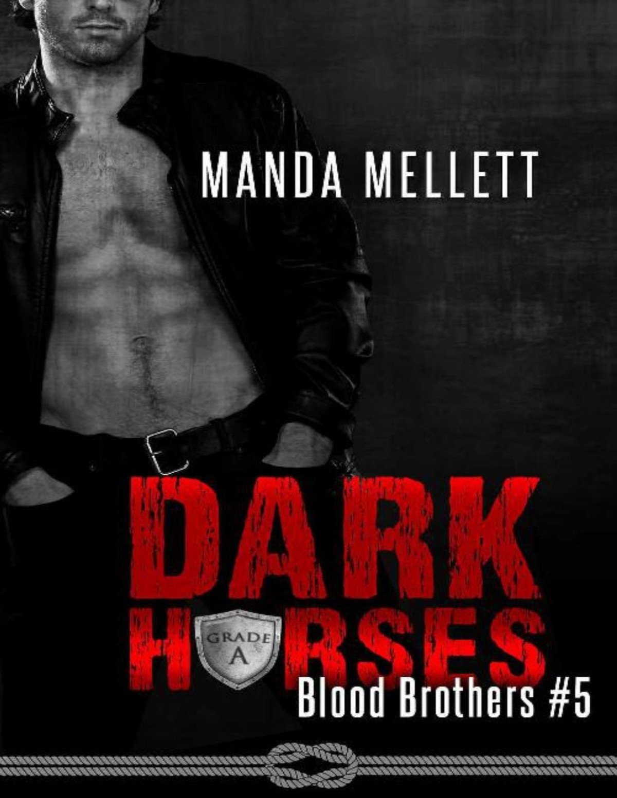 Dark Horses Blood Brothers 5 Manda Mellett Mellett Manda