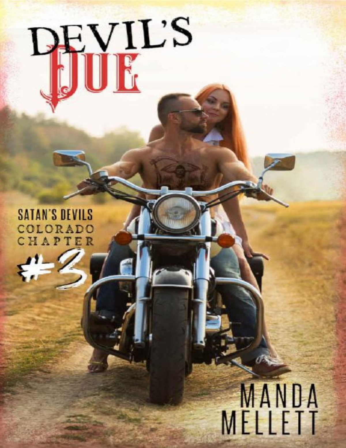 Devils Due Satans Devils Mc Colorado Chapter 3 Manda Mellett Mellett