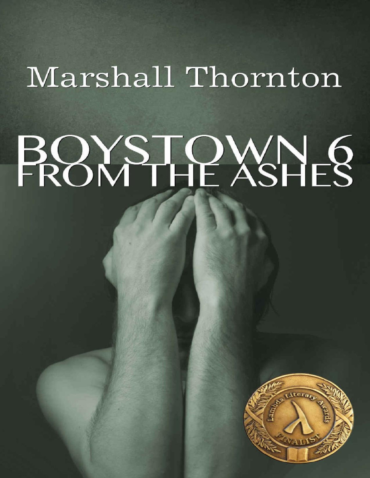 Boystown 6 From The Ashes Boystown Mysteries Marshall Thornton Thornton
