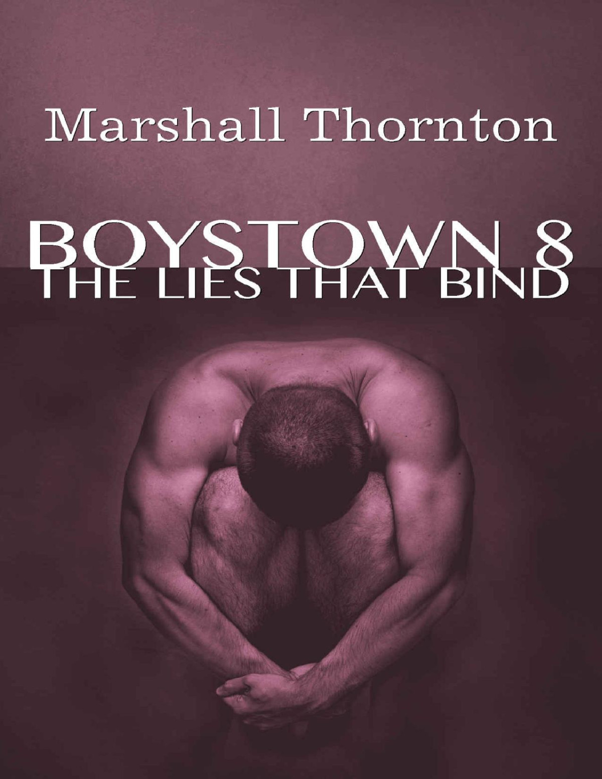 Boystown 8 The Lies That Bind Boystown Mysteries Marshall Thornton Thornton