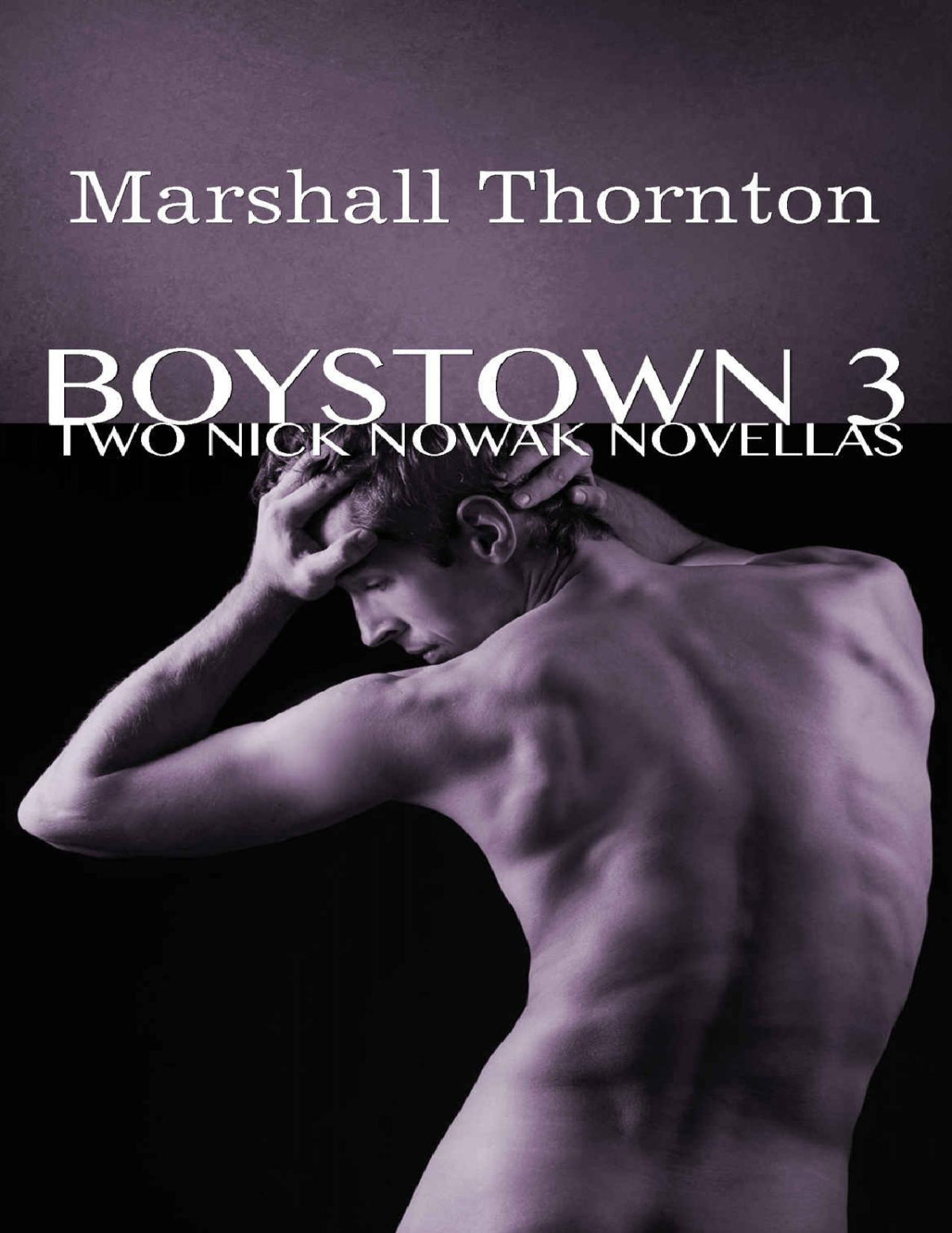 Boystown 3 Two Nick Nowak Novellas Boystown Mysteries Marshall Thornton Thornton